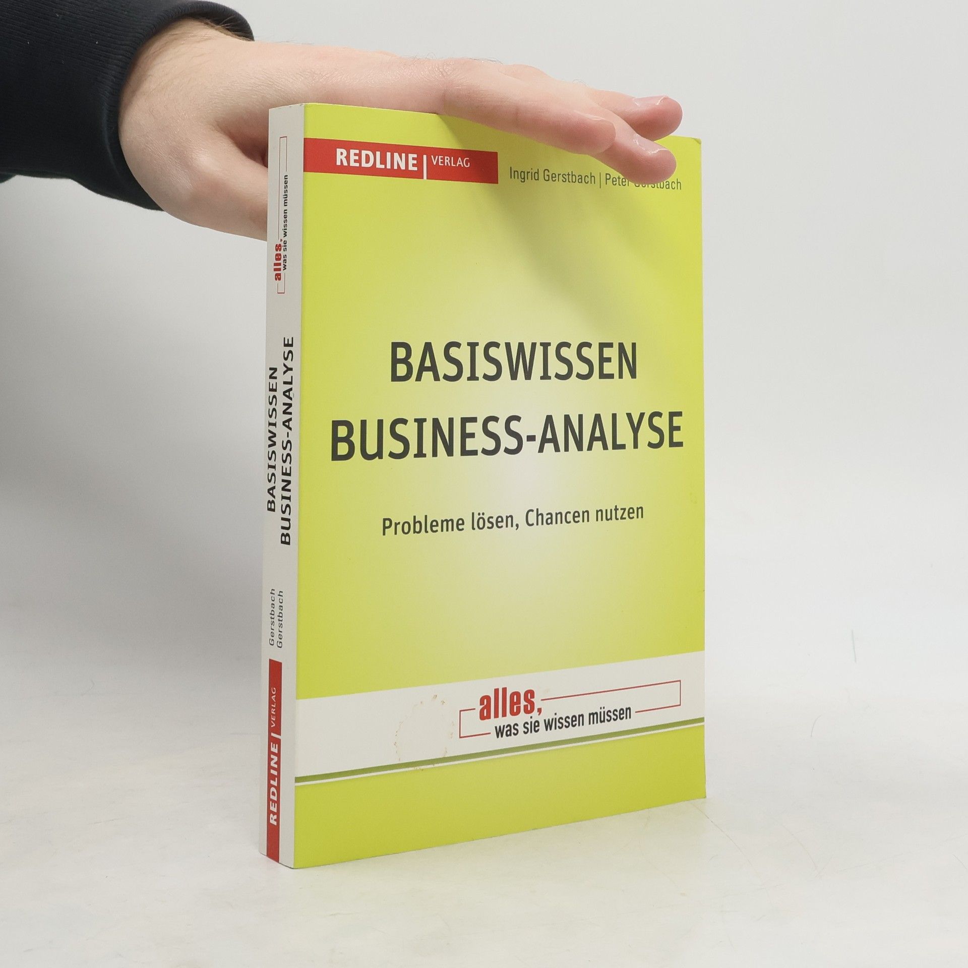 Ingrid Gerstbach Basiswissen Business-Analyse