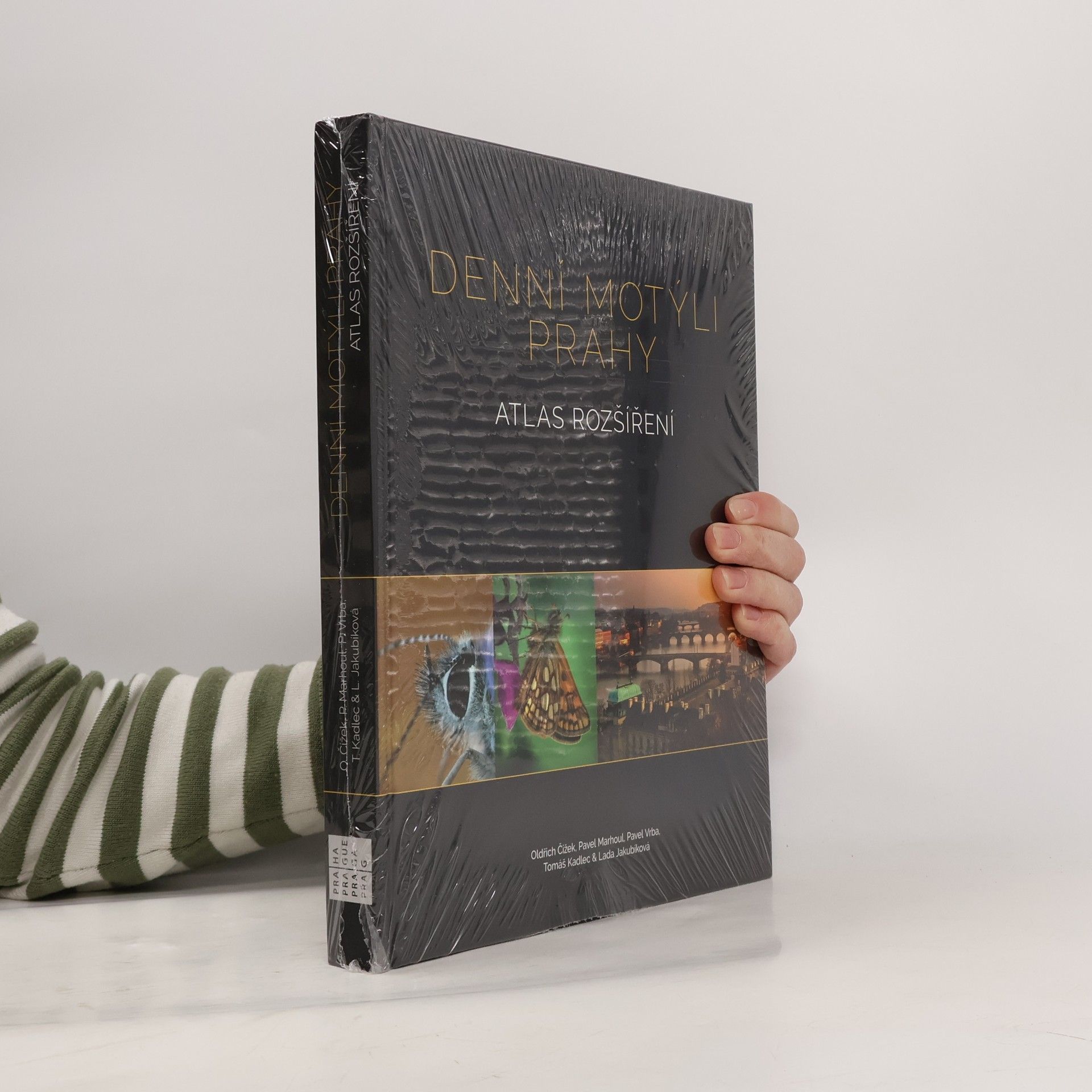 Collectif d'auteurs Denní motýli Prahy : atlas rozšíření