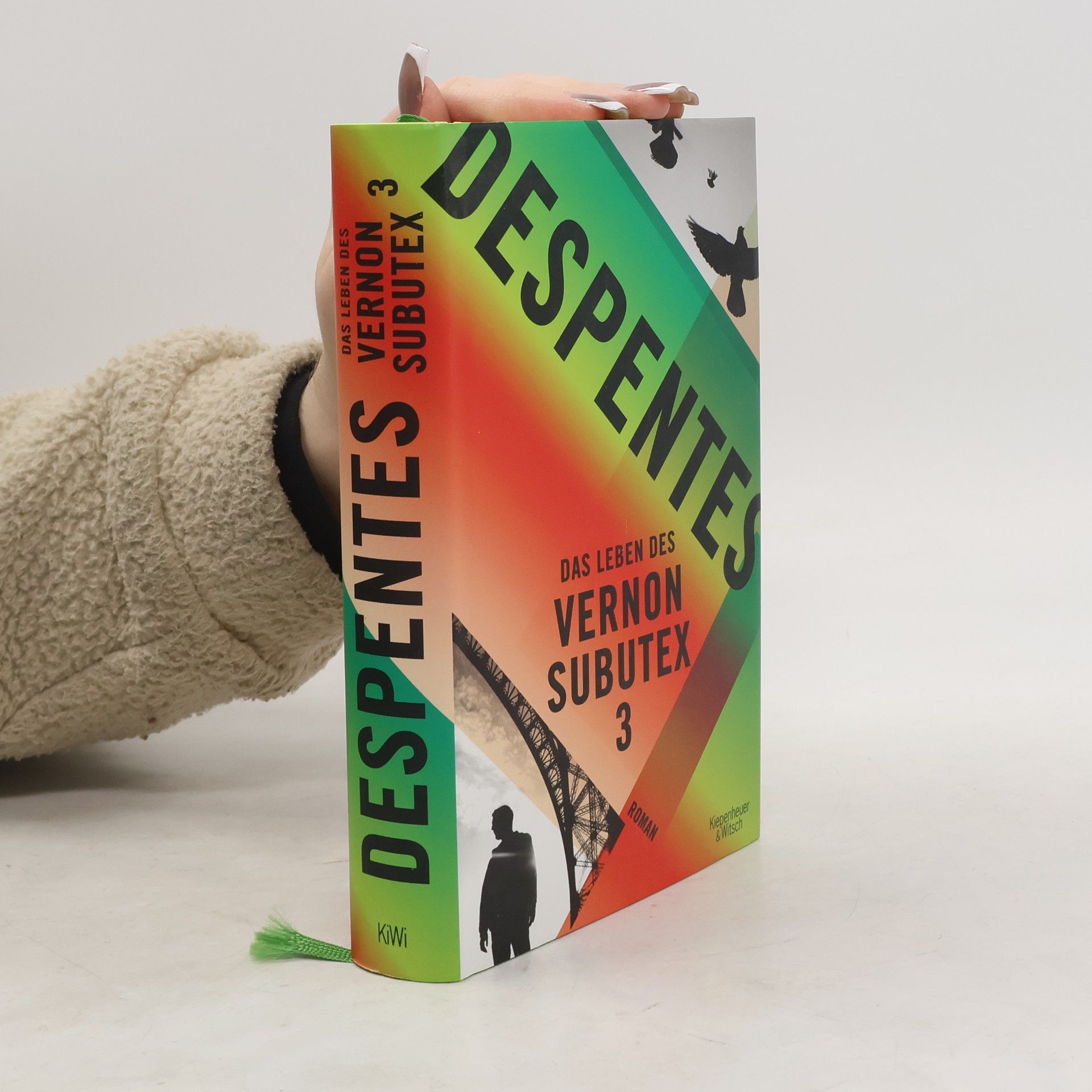 Virginie Despentes Das Leben des Vernon Subutex 3