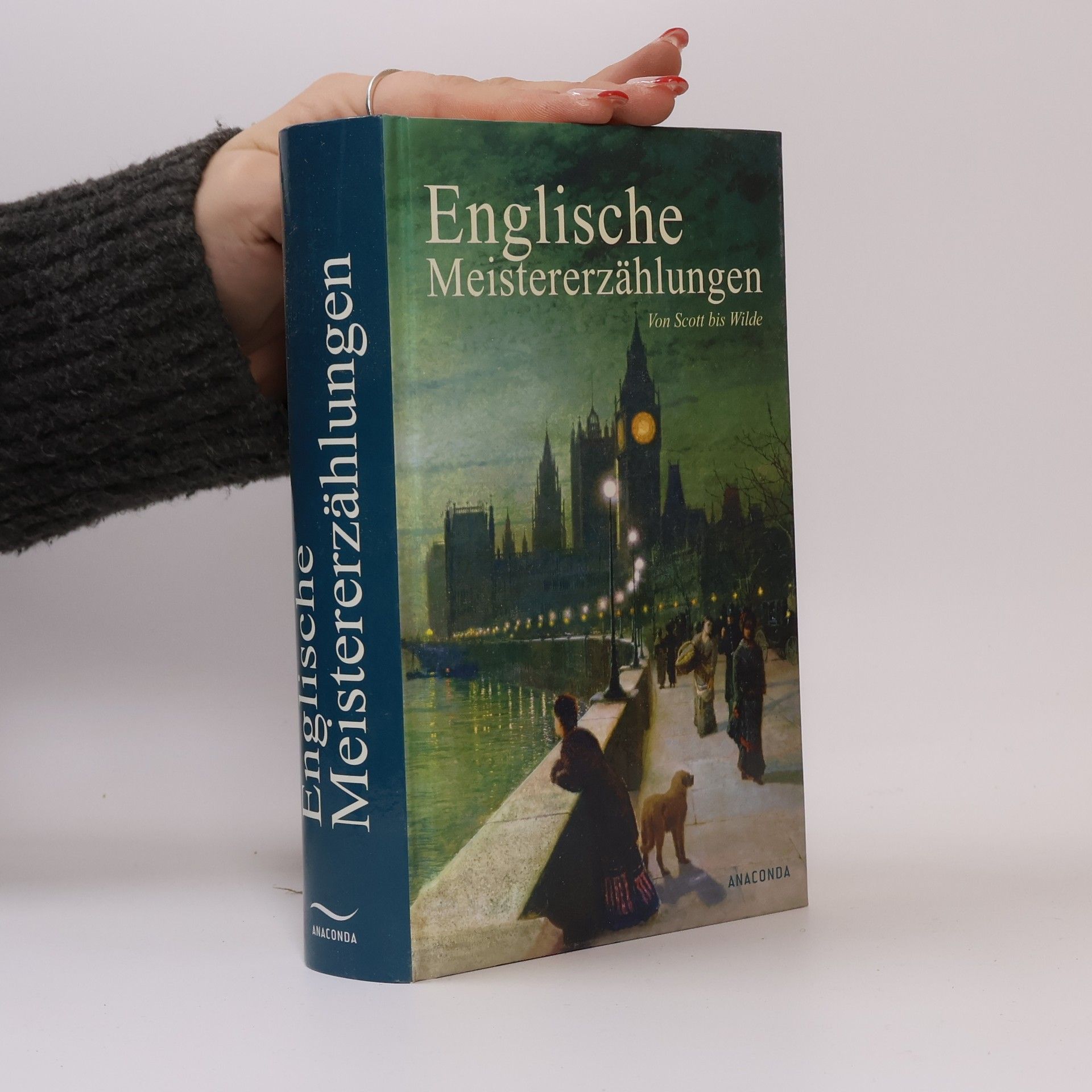 Englische Meistererzählungen von Scott bis Wilde