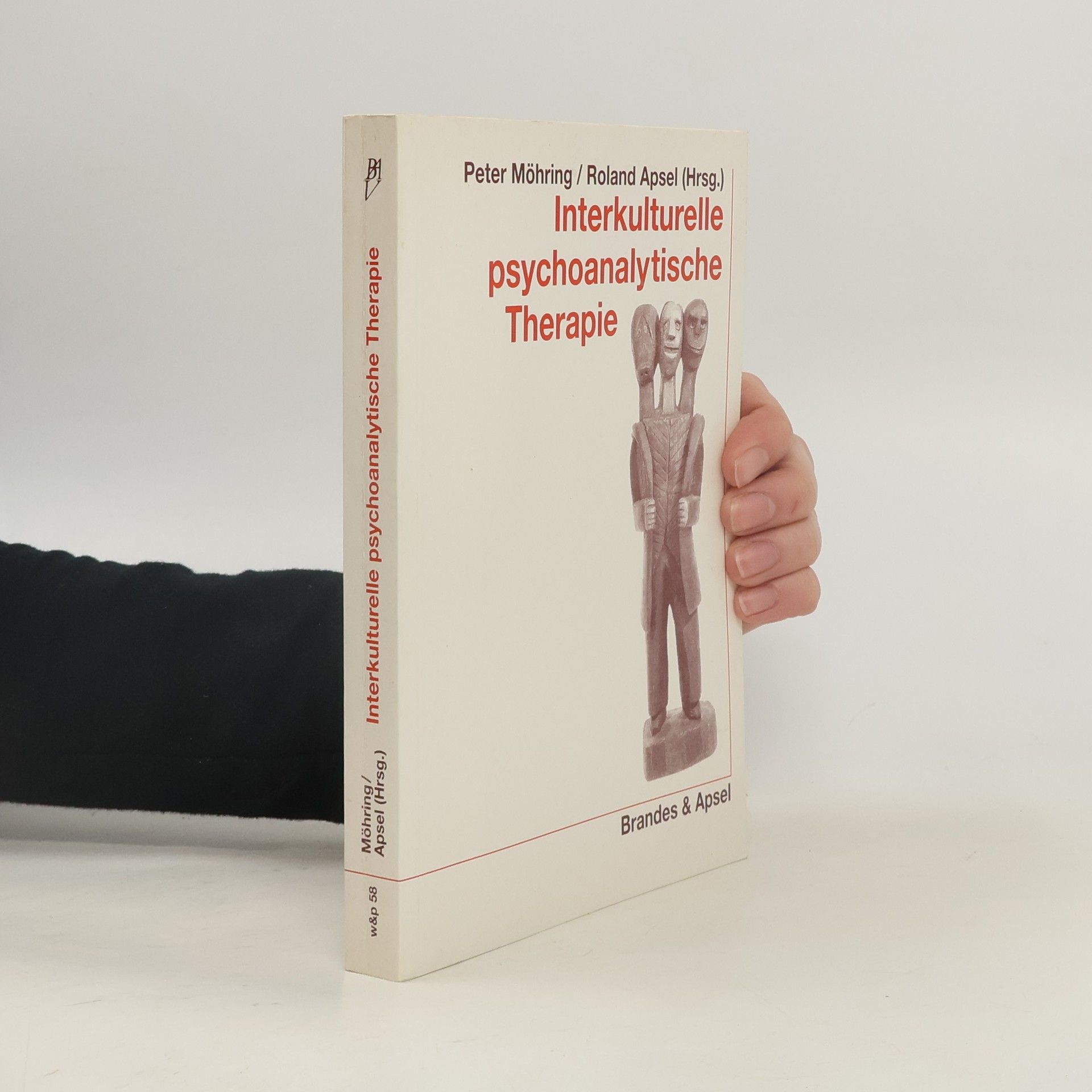 Interkulturelle psychoanalytische Therapie
