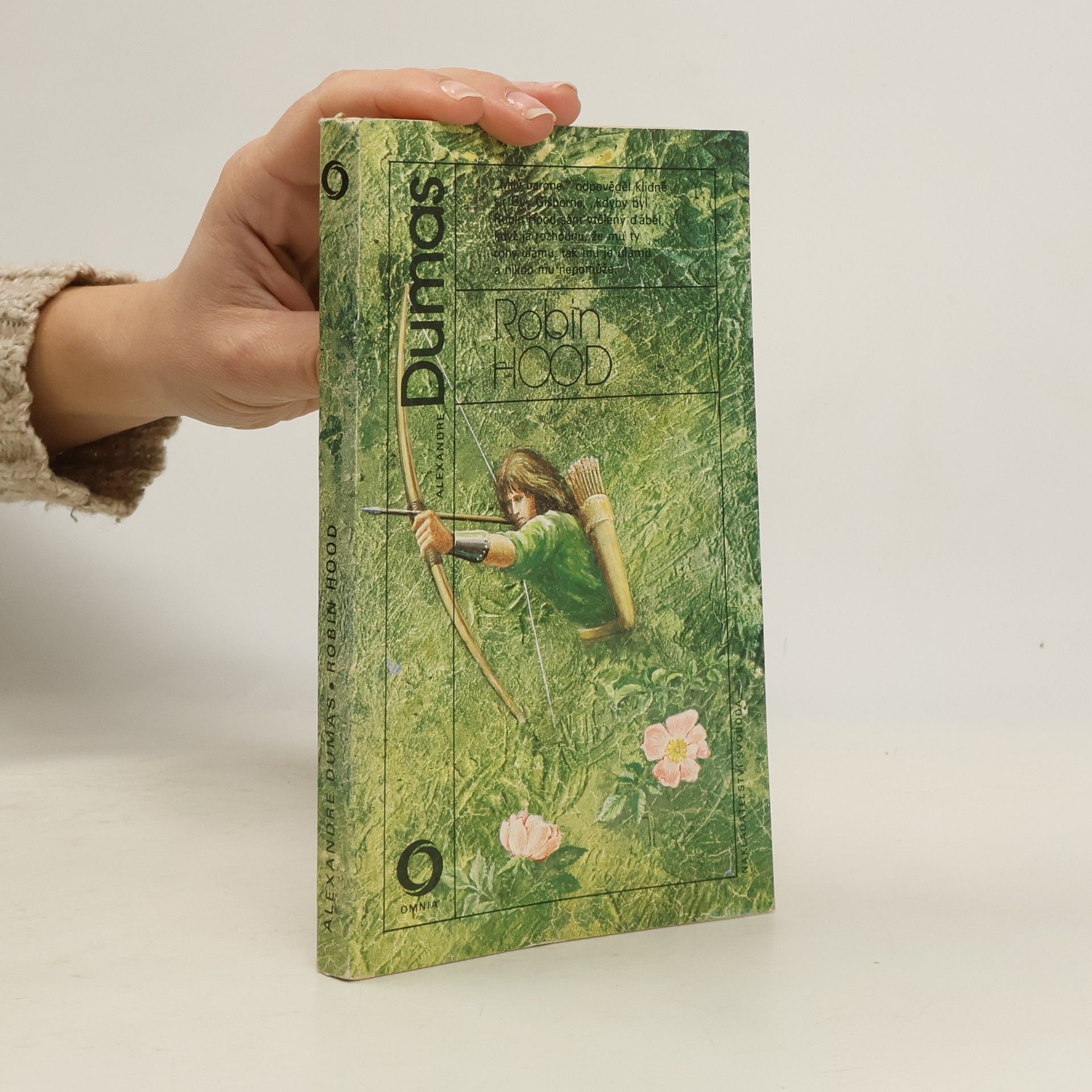 Alexandre Dumas der Ältere Robin Hood