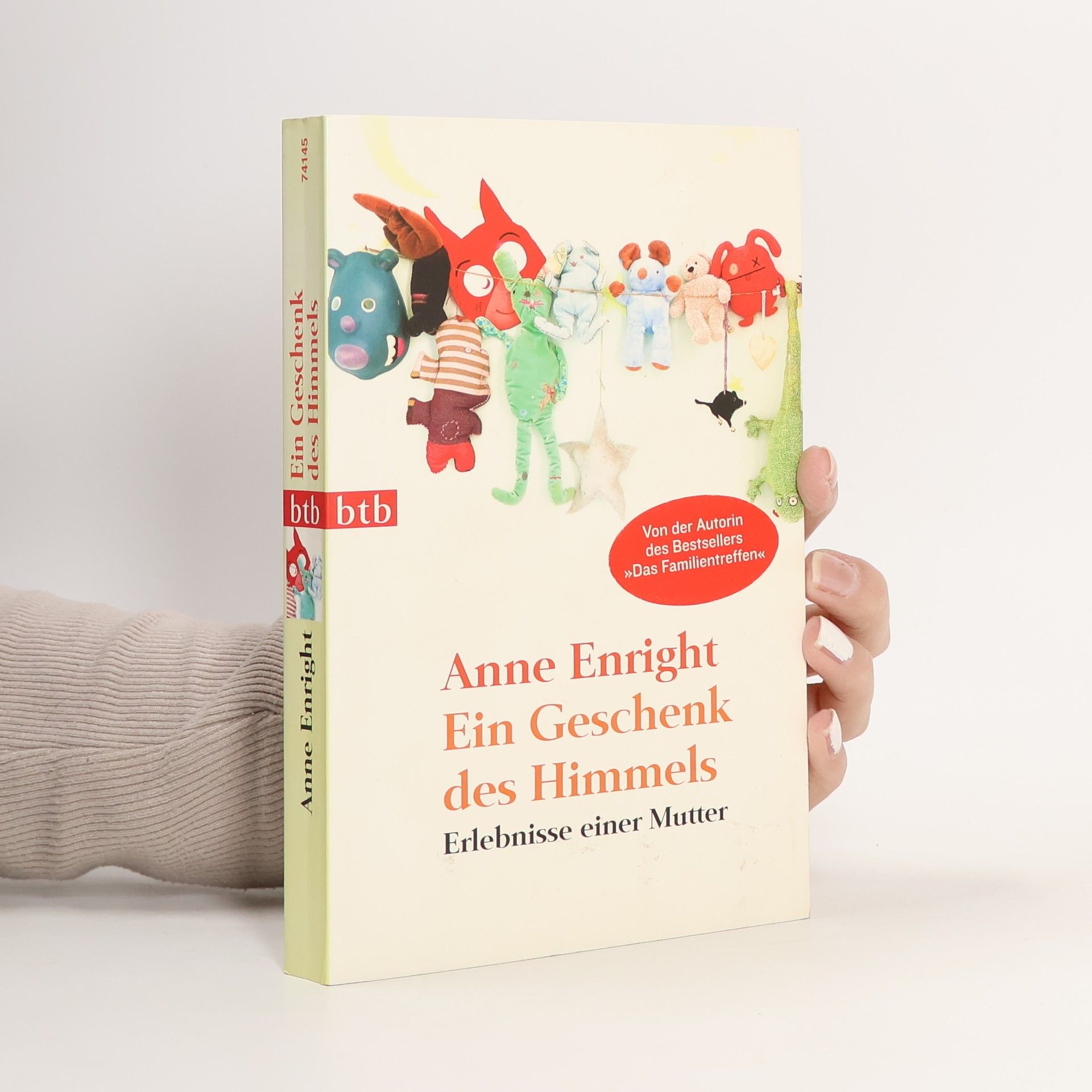 Anne Enright Ein Geschenk des Himmels