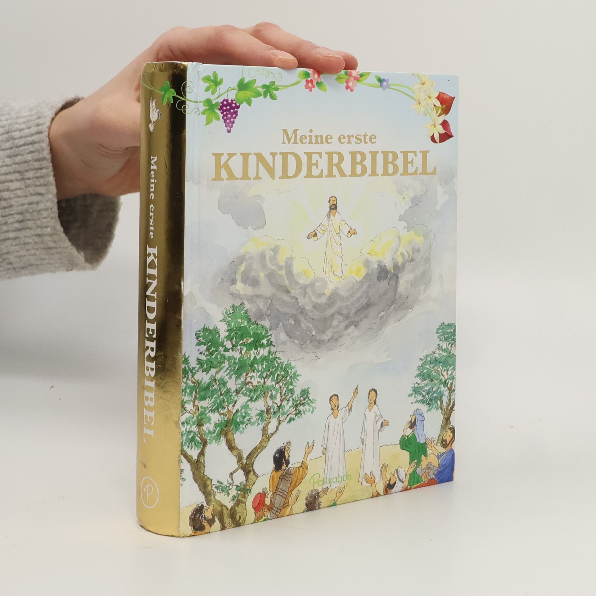 Various authors Meine erste Kinderbibel