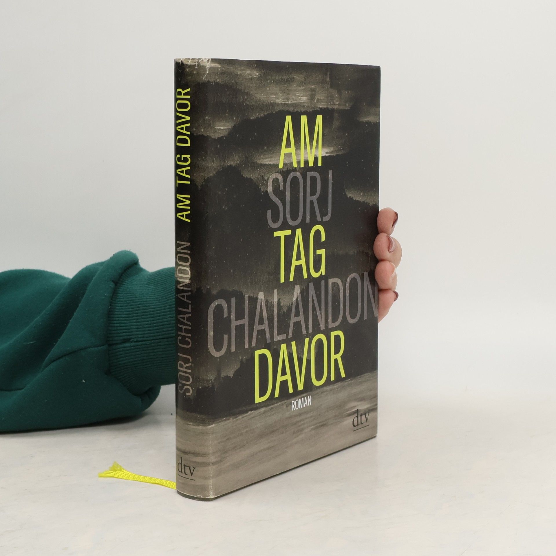 Sorj Chalandon Am Tag davor