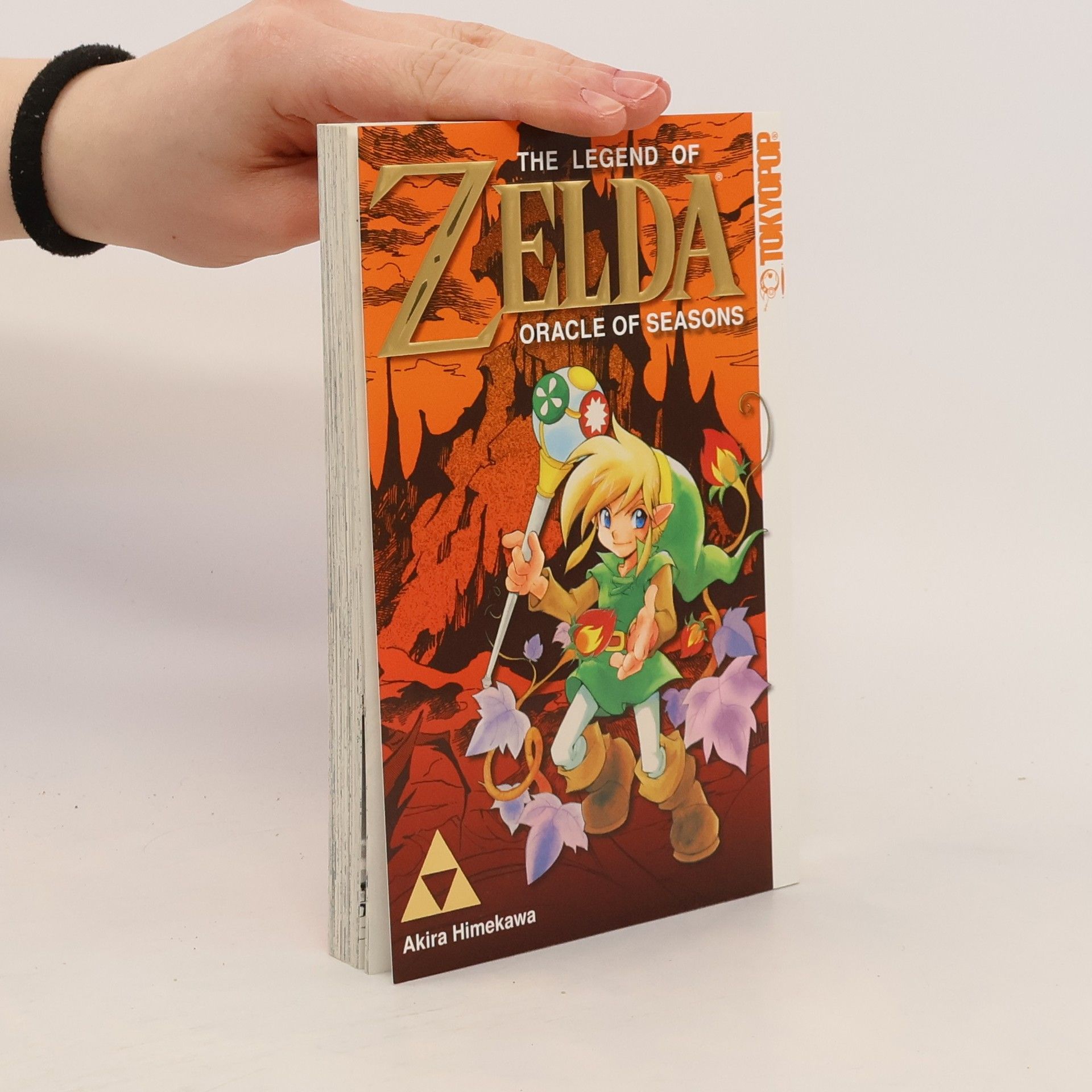 Akira Himekawa The legend of Zelda