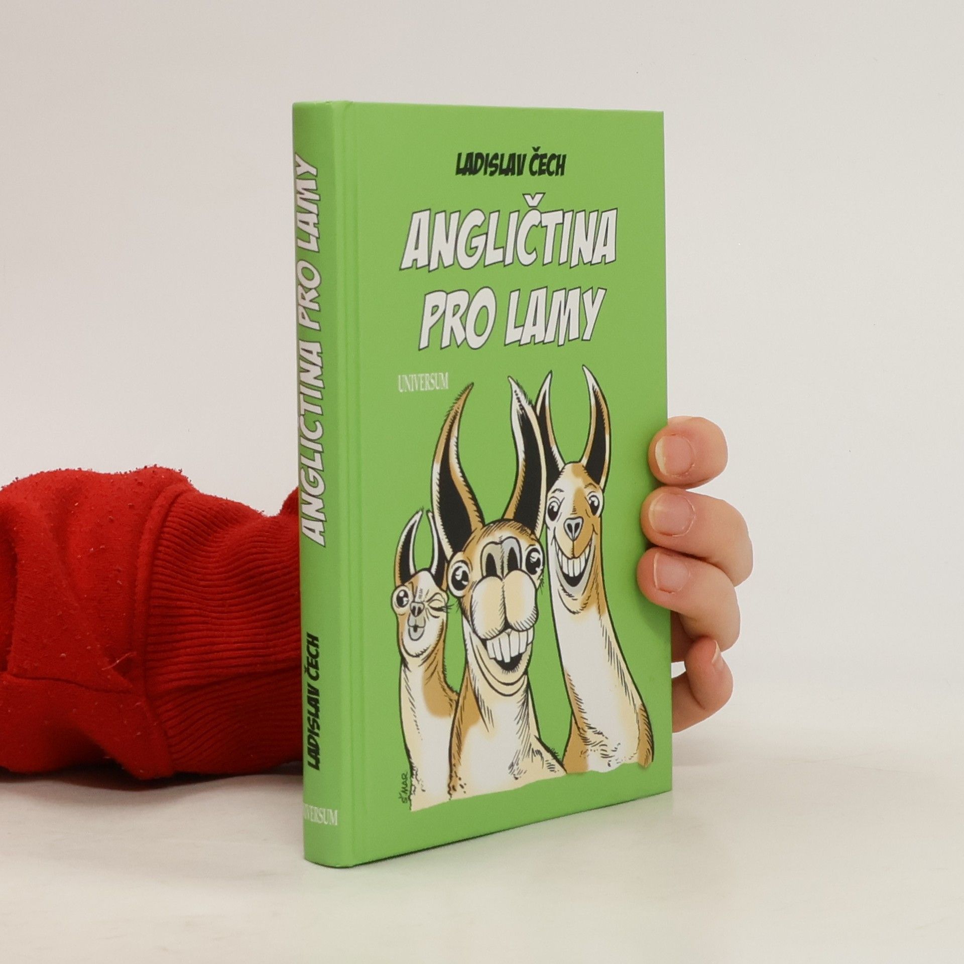 Ladislav Čech Angličtina pro lamy