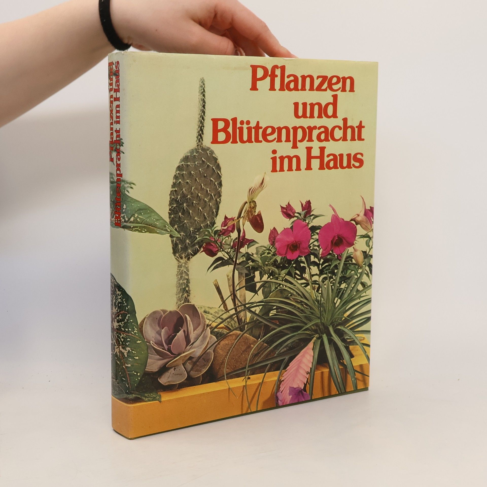 Autorenkollektiv Pflanzen und Blütenpracht im Haus