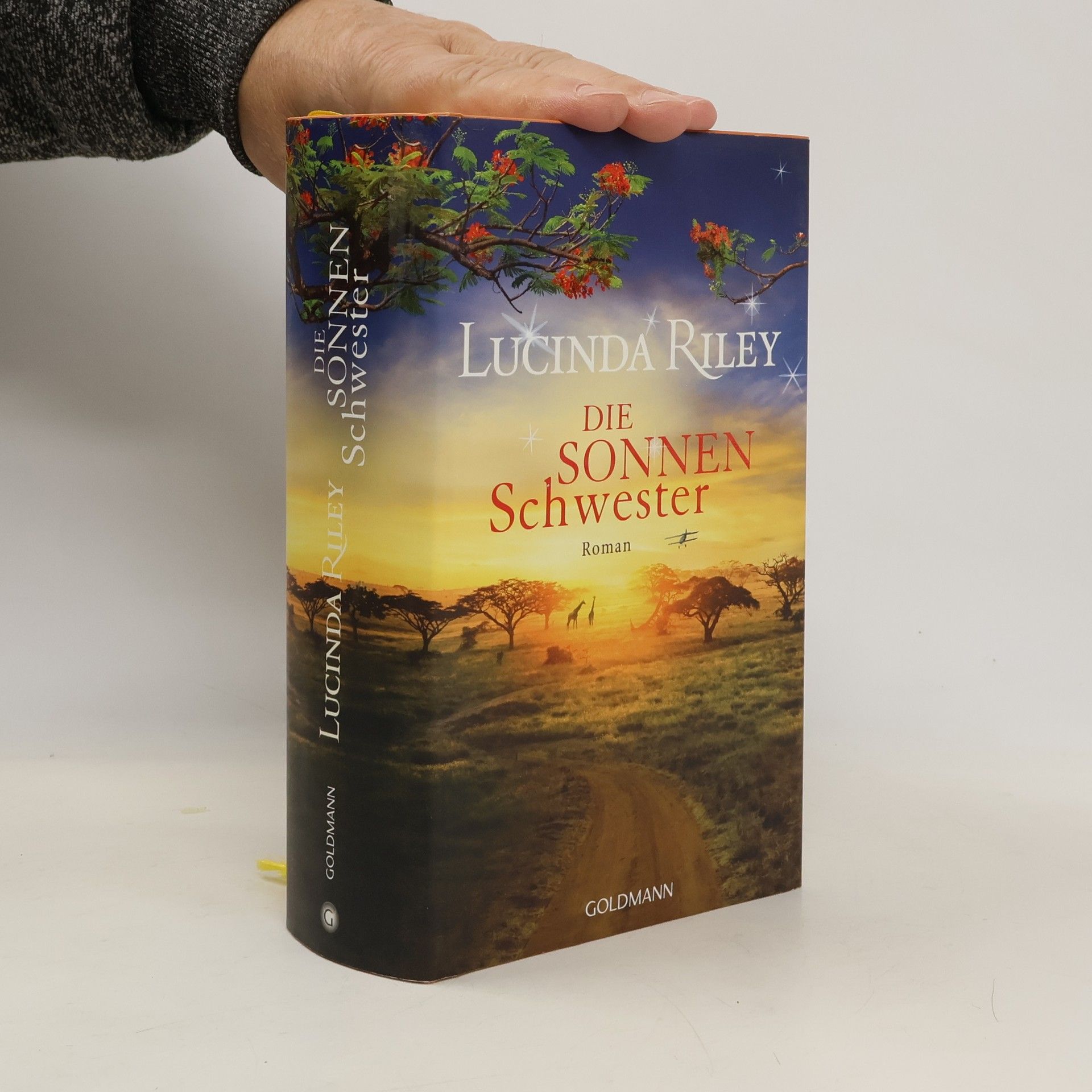 Lucinda Riley Die Sonnenschwester