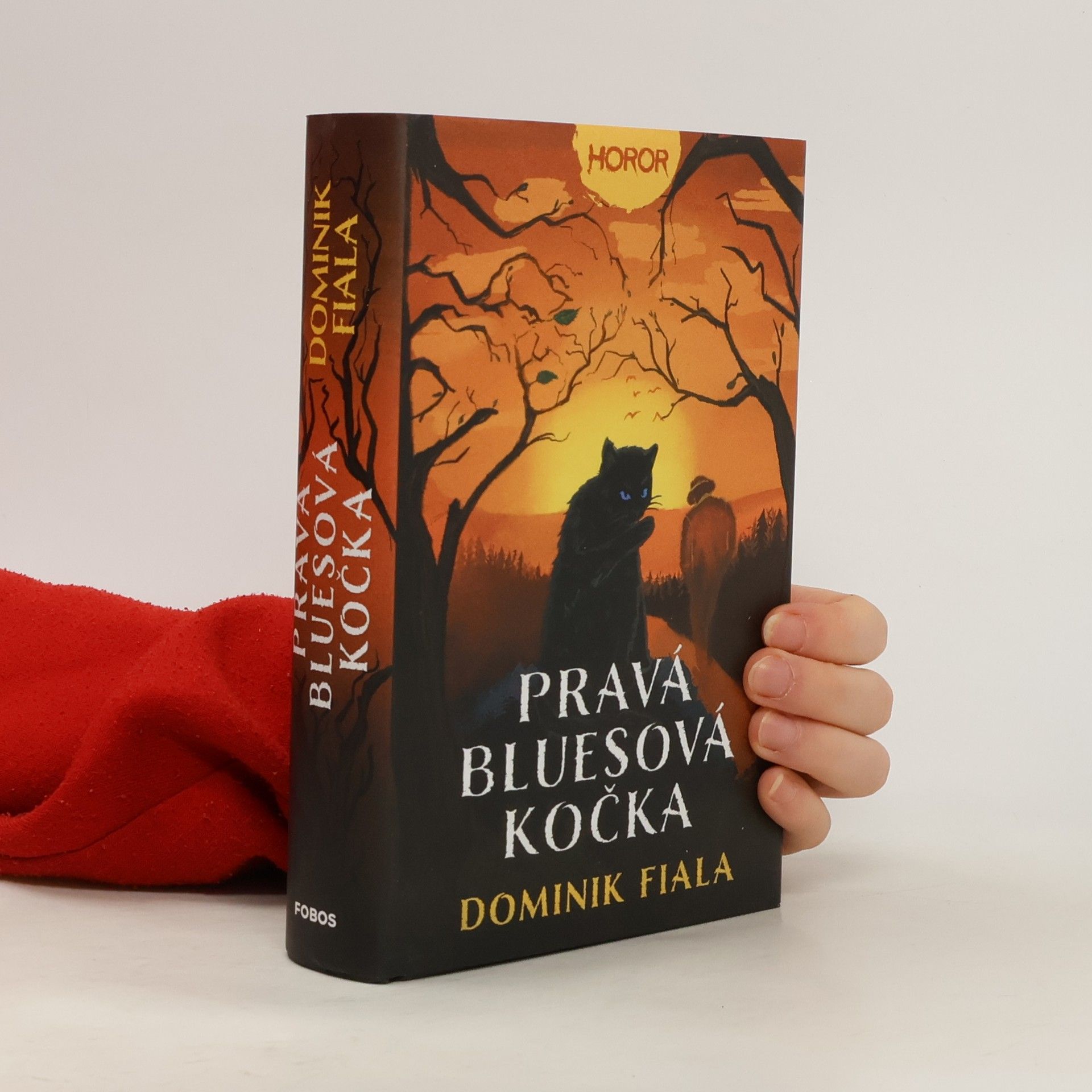 Pravá bluesová kočka