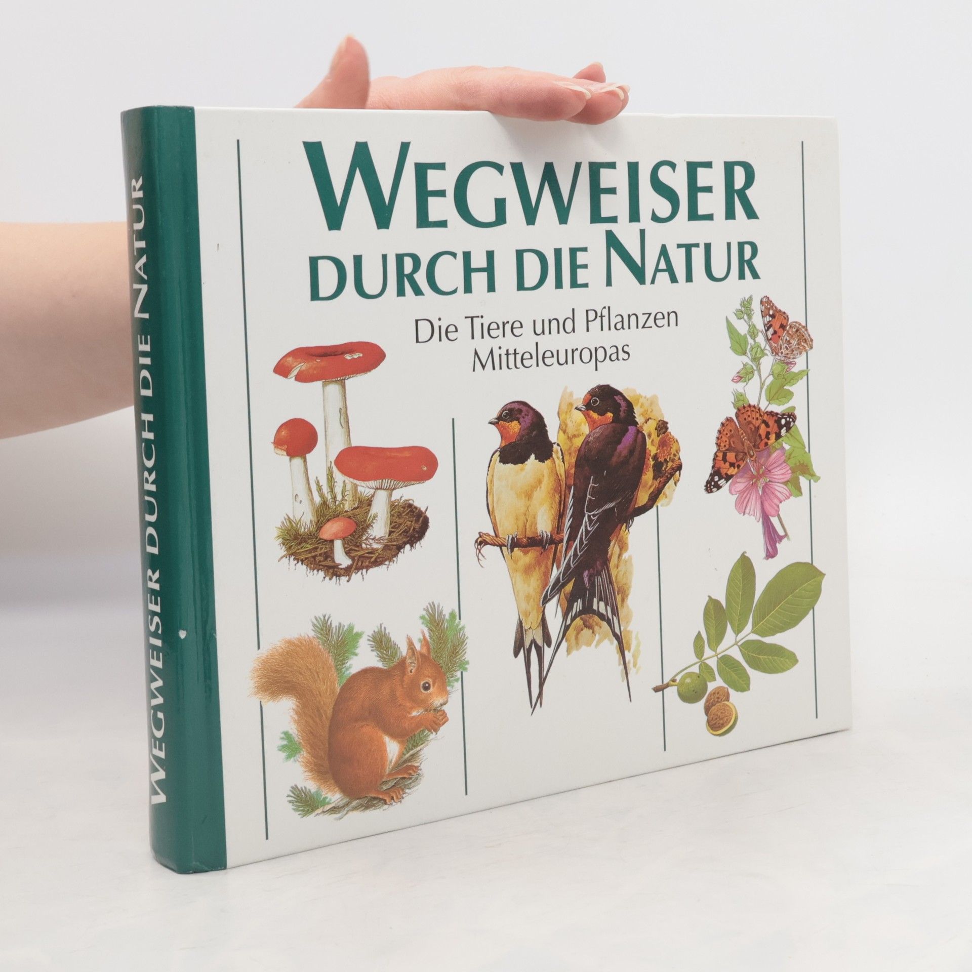 Collectif d'auteurs Wegweiser durch die Natur. Die Tiere und Pflanzen Mitteleuropas