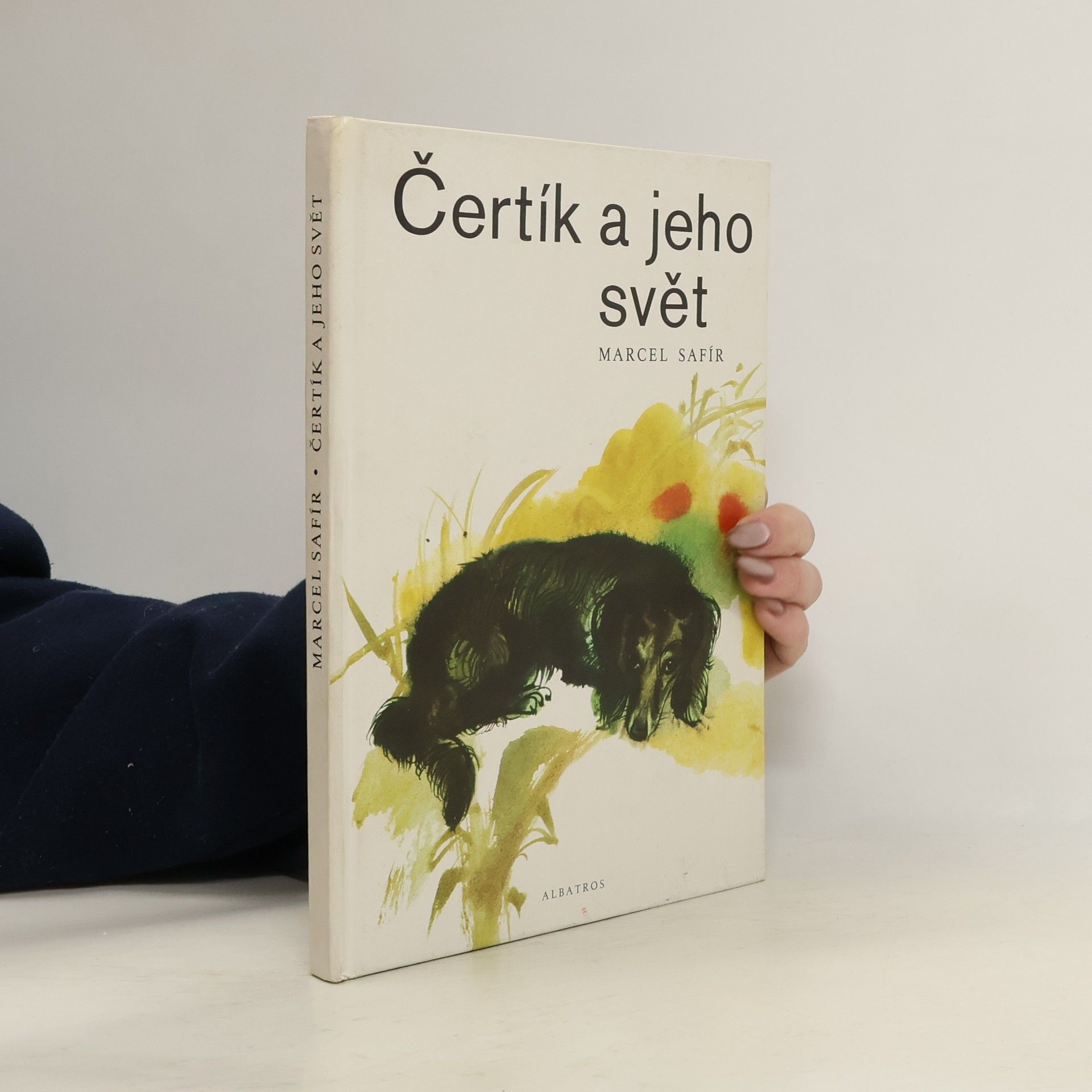 Čertík a jeho svět