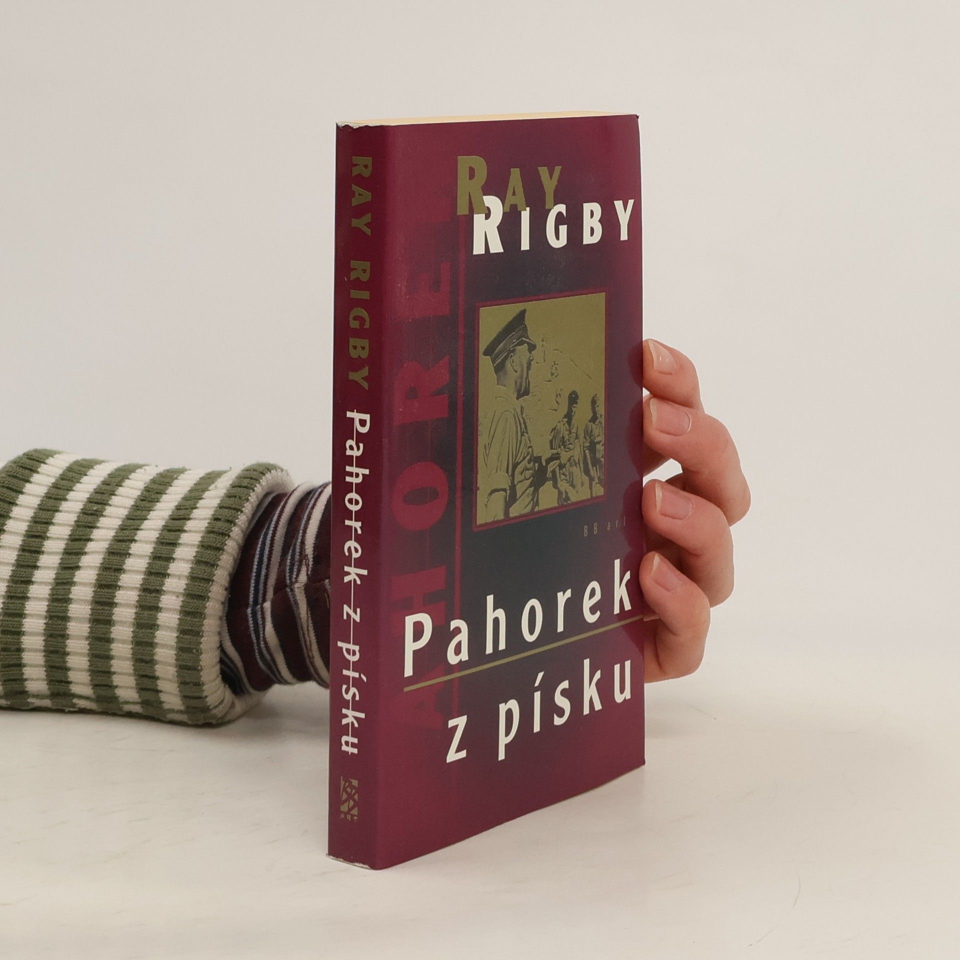 Ray Rigby Pahorek z písku
