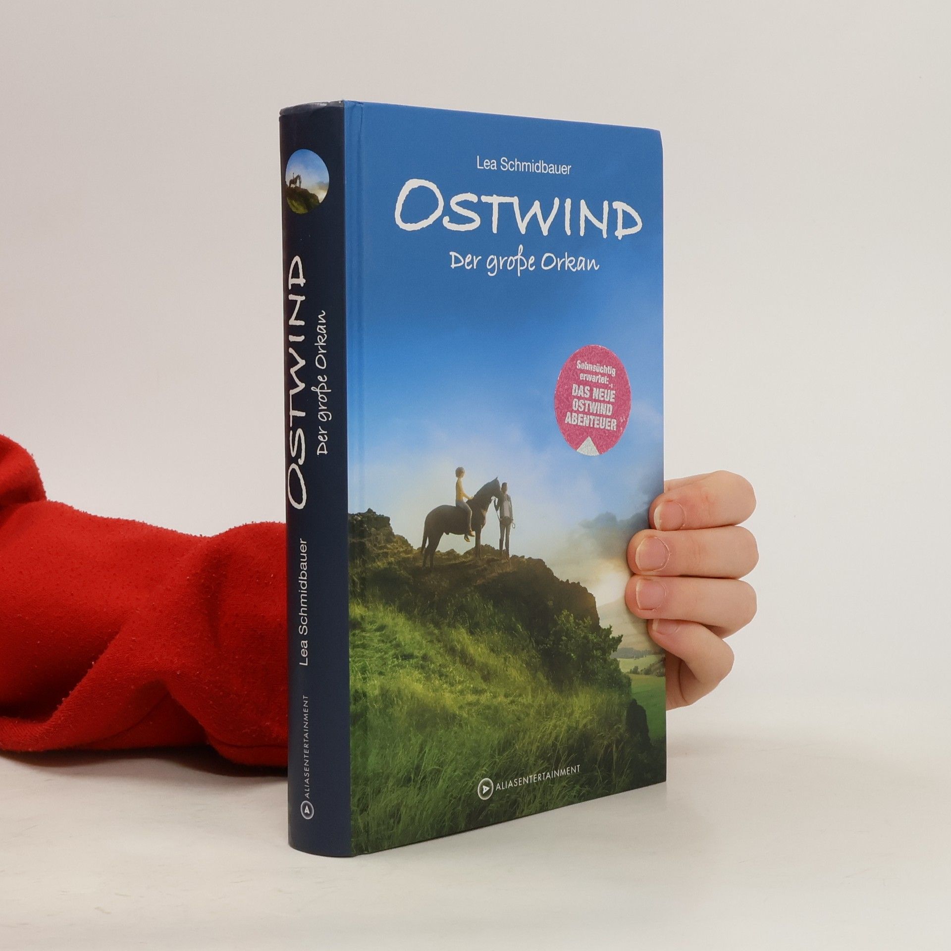 Lea Schmidbauer Ostwind. Der große Orkan