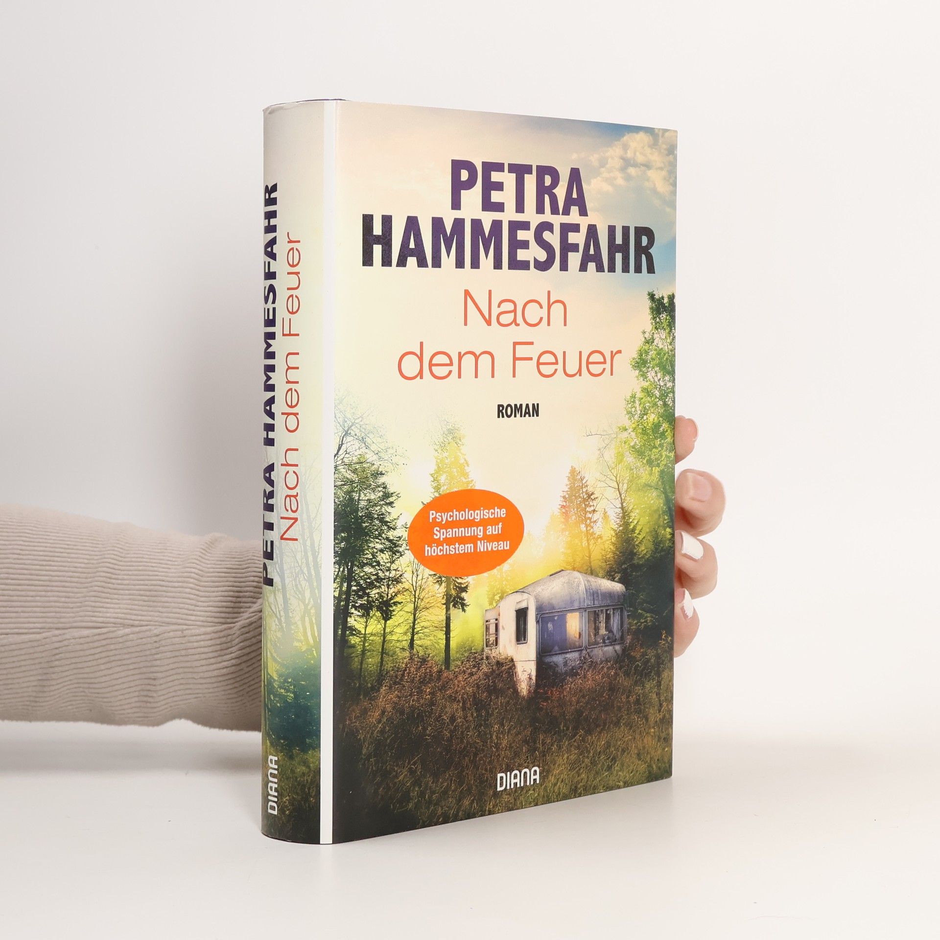 Petra Hammesfahr Nach dem Feuer