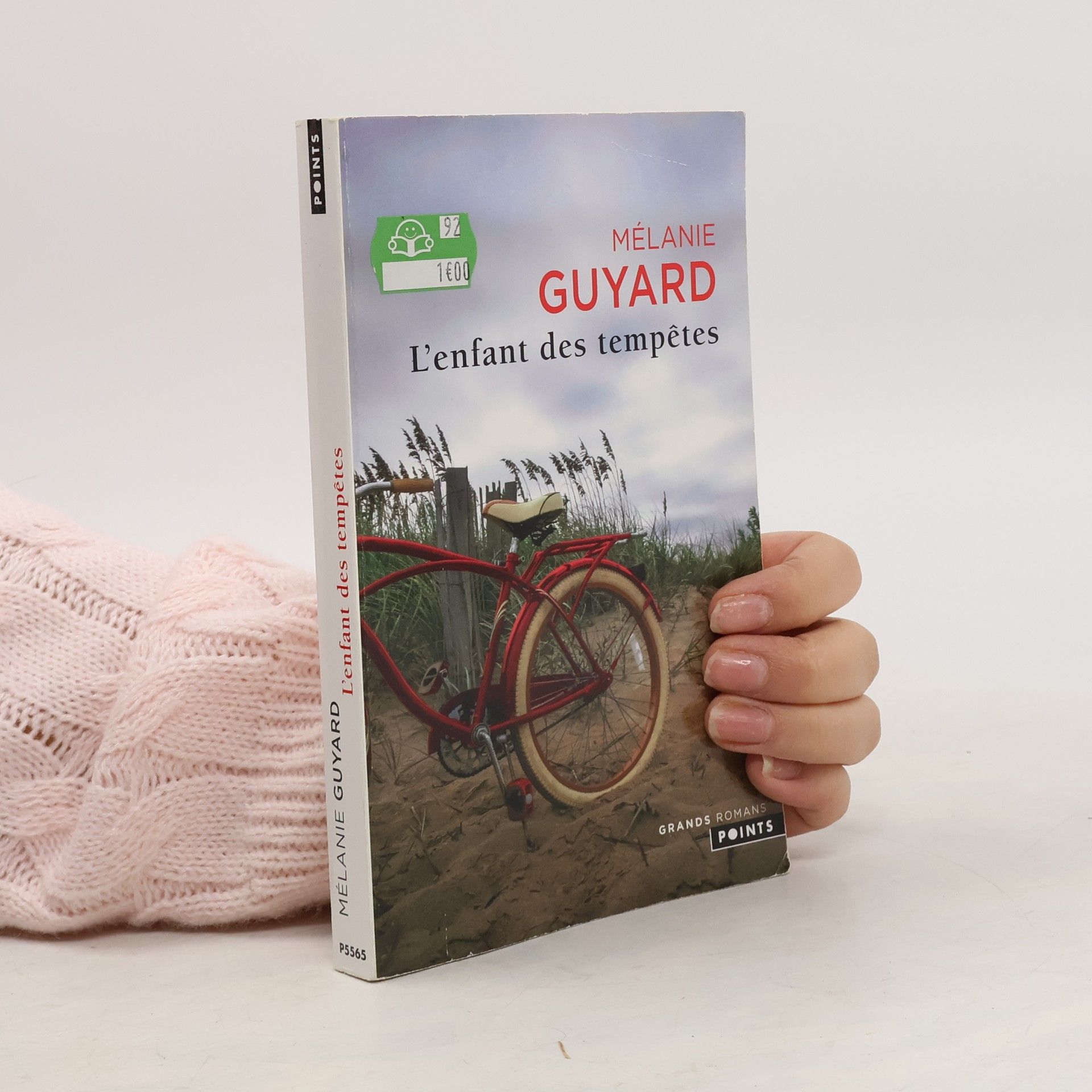 Mélanie Guyard Grands Romans: L'Enfant des tempêtes