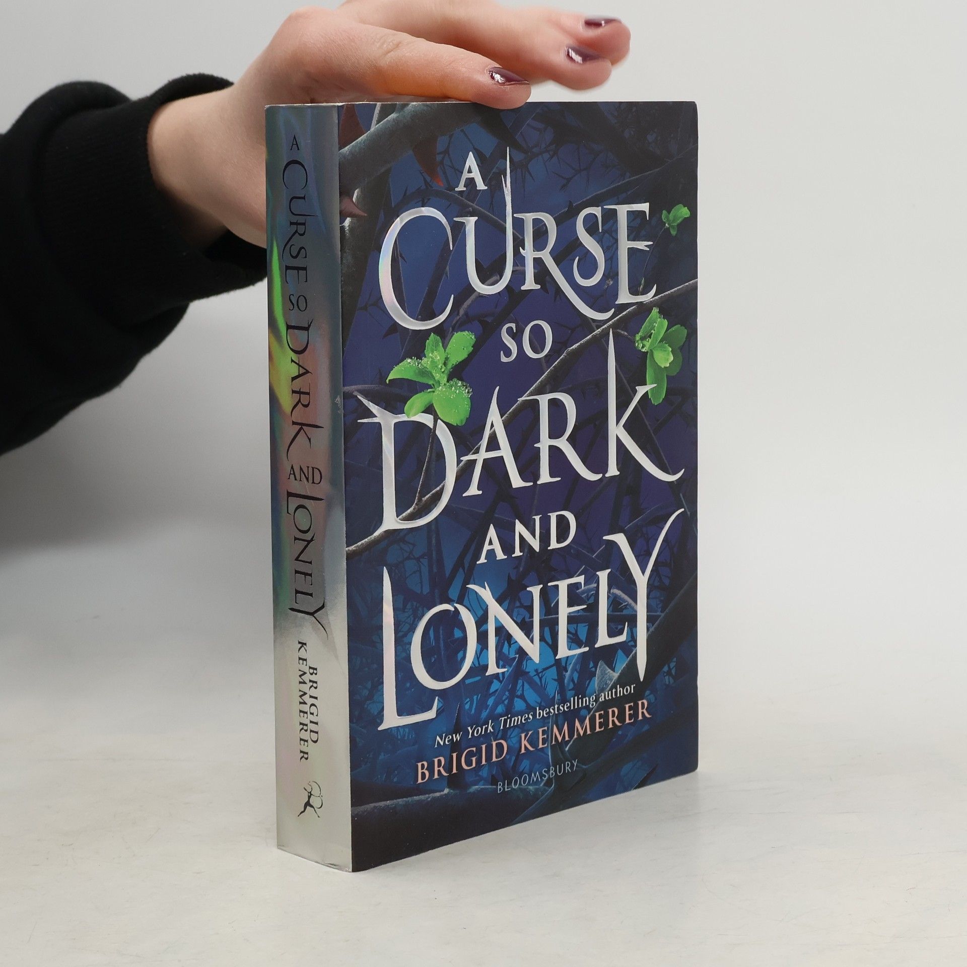 Brigid Kemmerer A curse so dark and lonely (1. díl série)