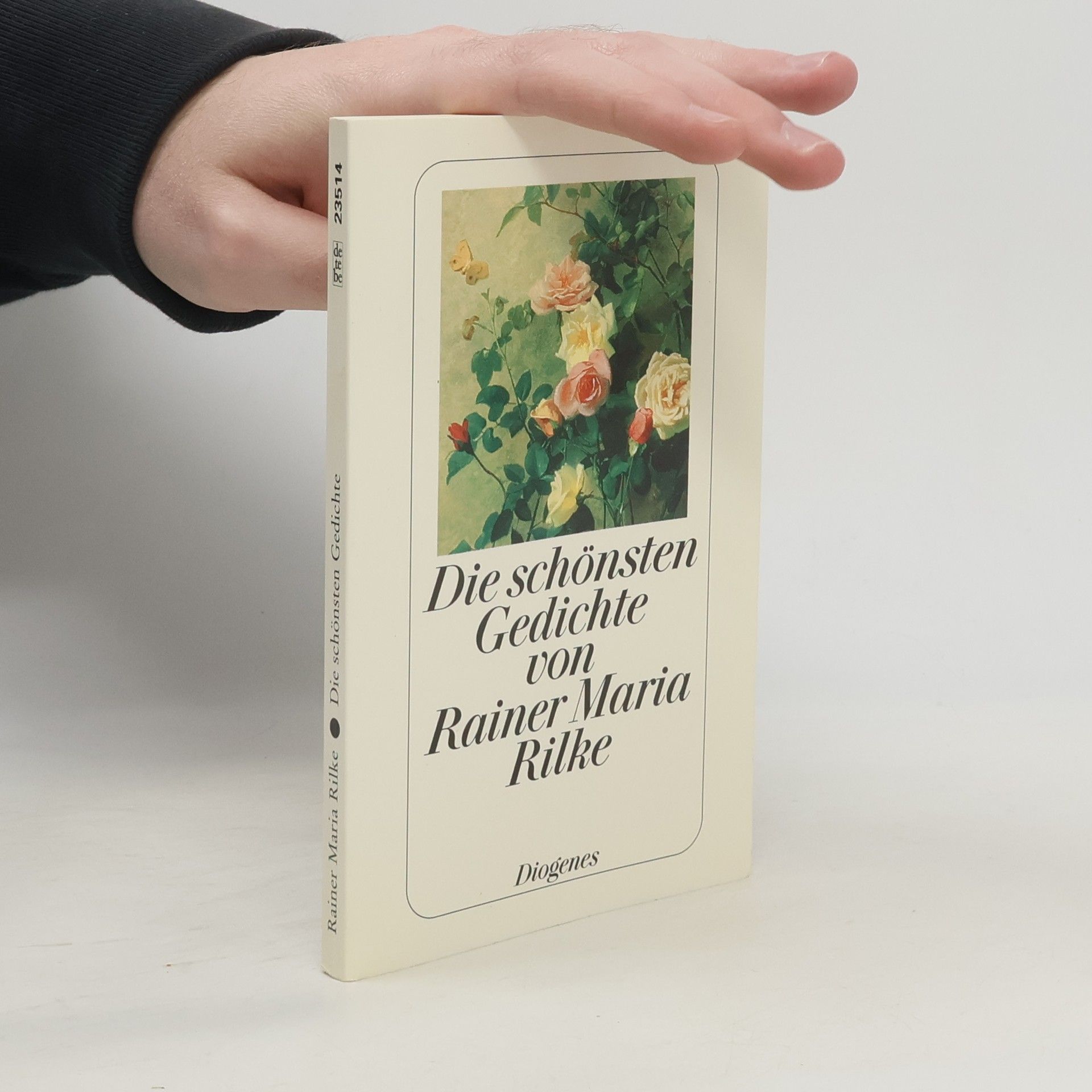 Rainer Maria Rilke Die schönsten Gedichte