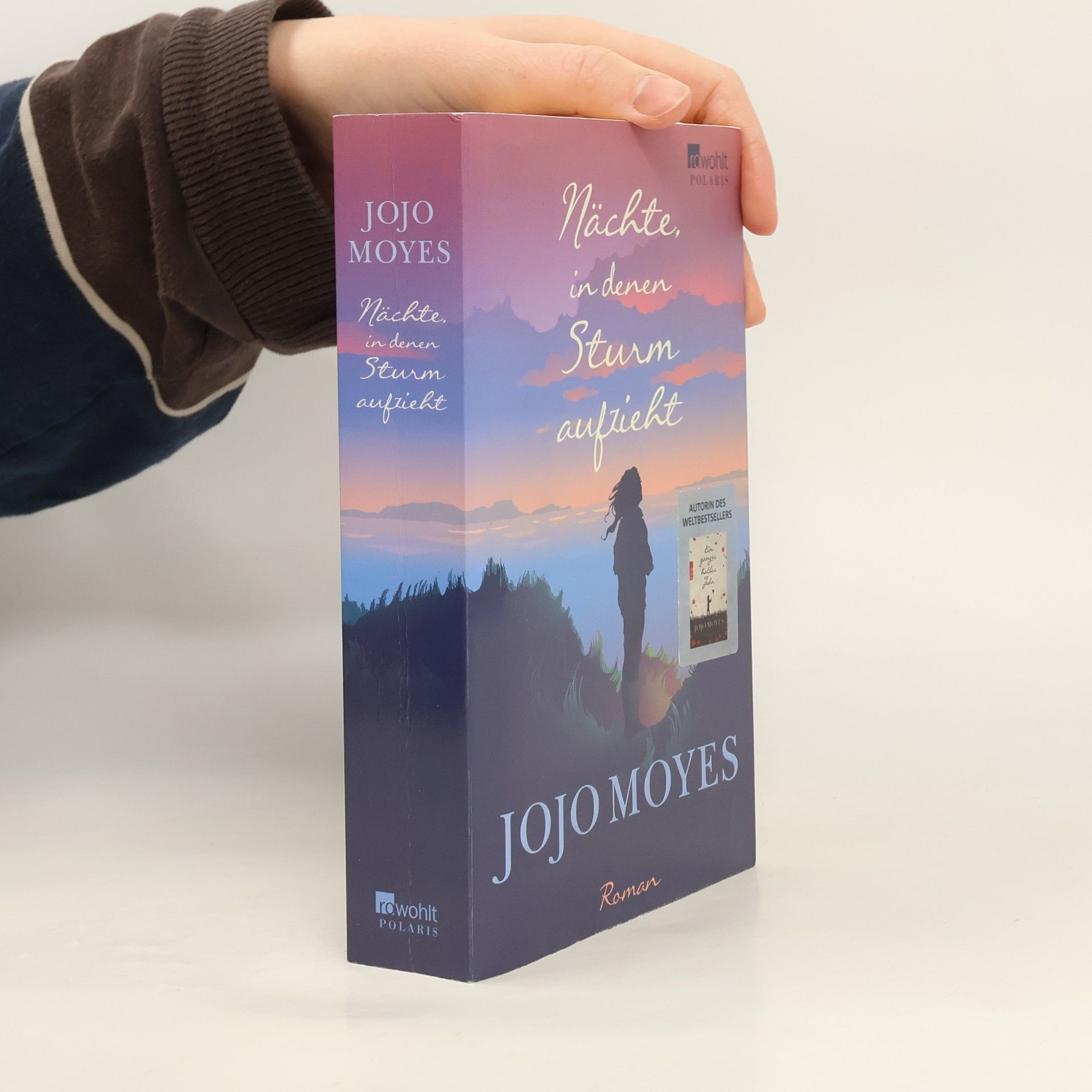 Jojo Moyesová Nächte in denen Sturm aufzieht