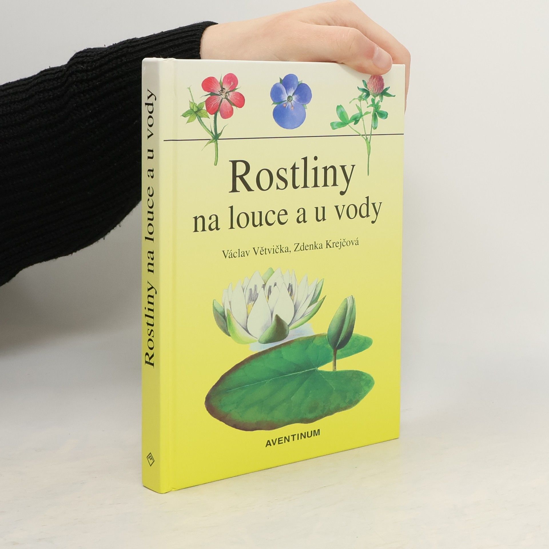 Václav Větvička Rostliny na louce a u vody