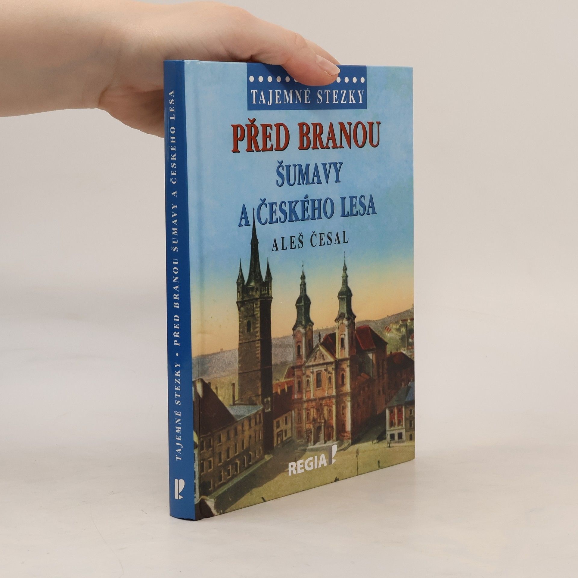 Před branou Šumavy a Českého lesa