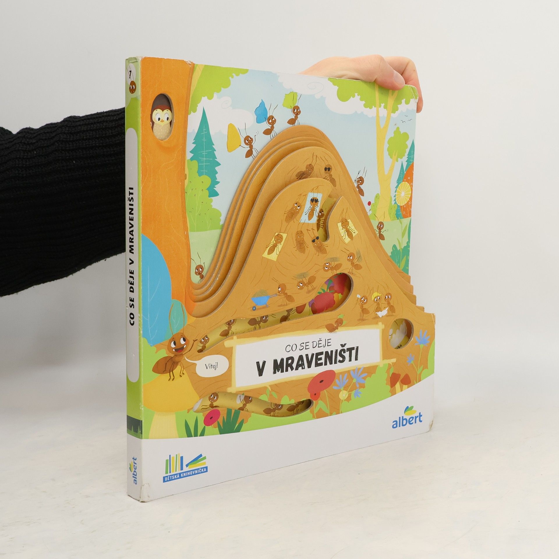 Kolektiv autorů Co se děje v mraveništi