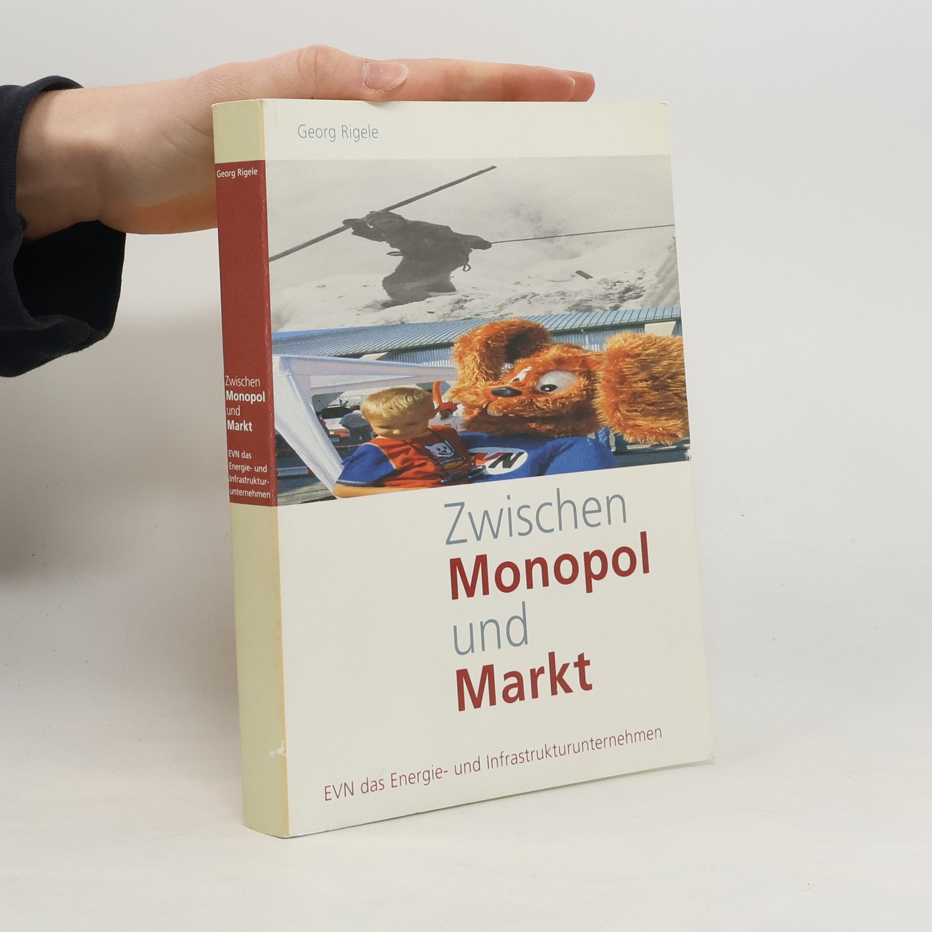 Zwischen Monopol und Markt