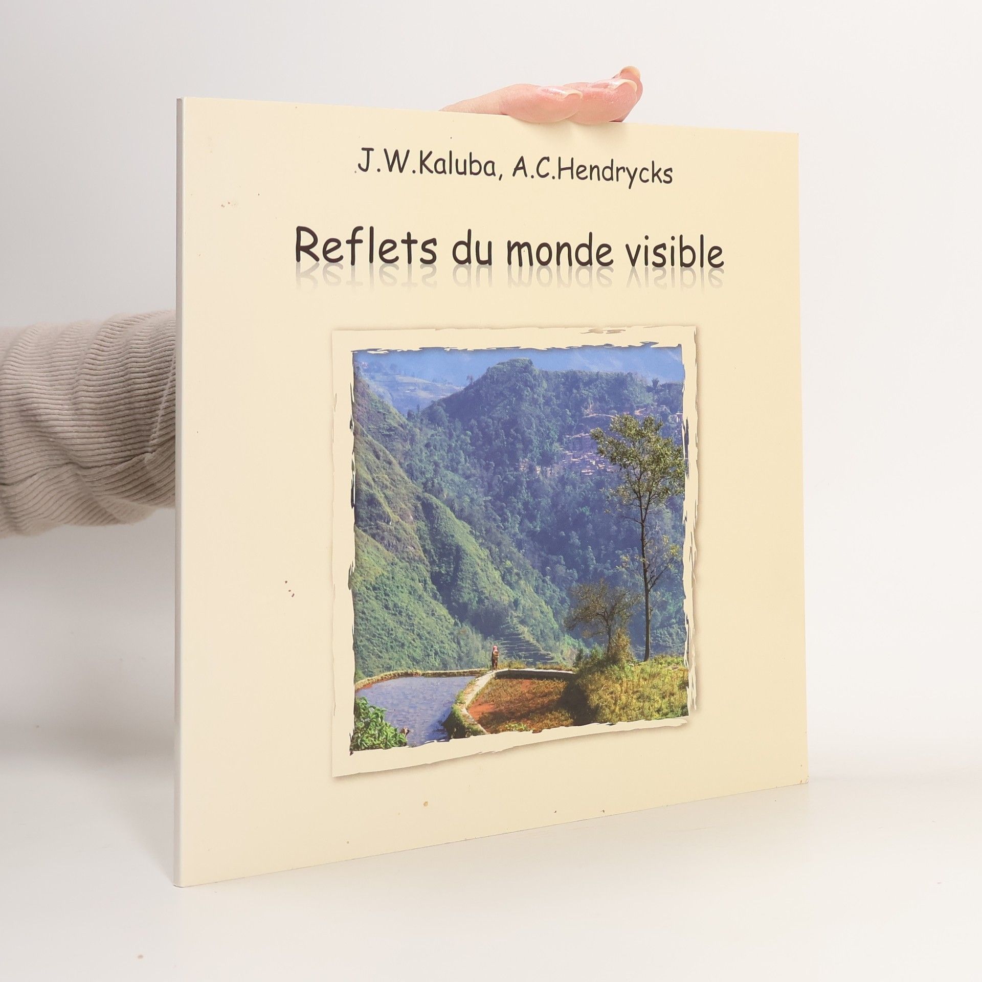 J. W. Kaluba Reflets du monde visible