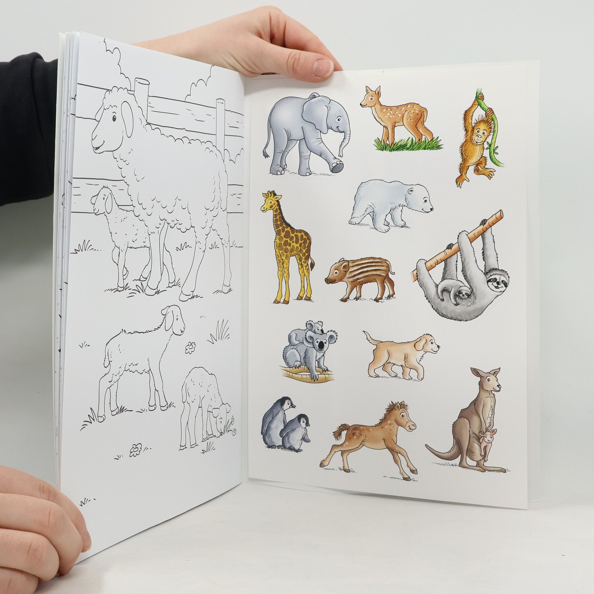 Autorenkollektiv Süsse Tierbabys