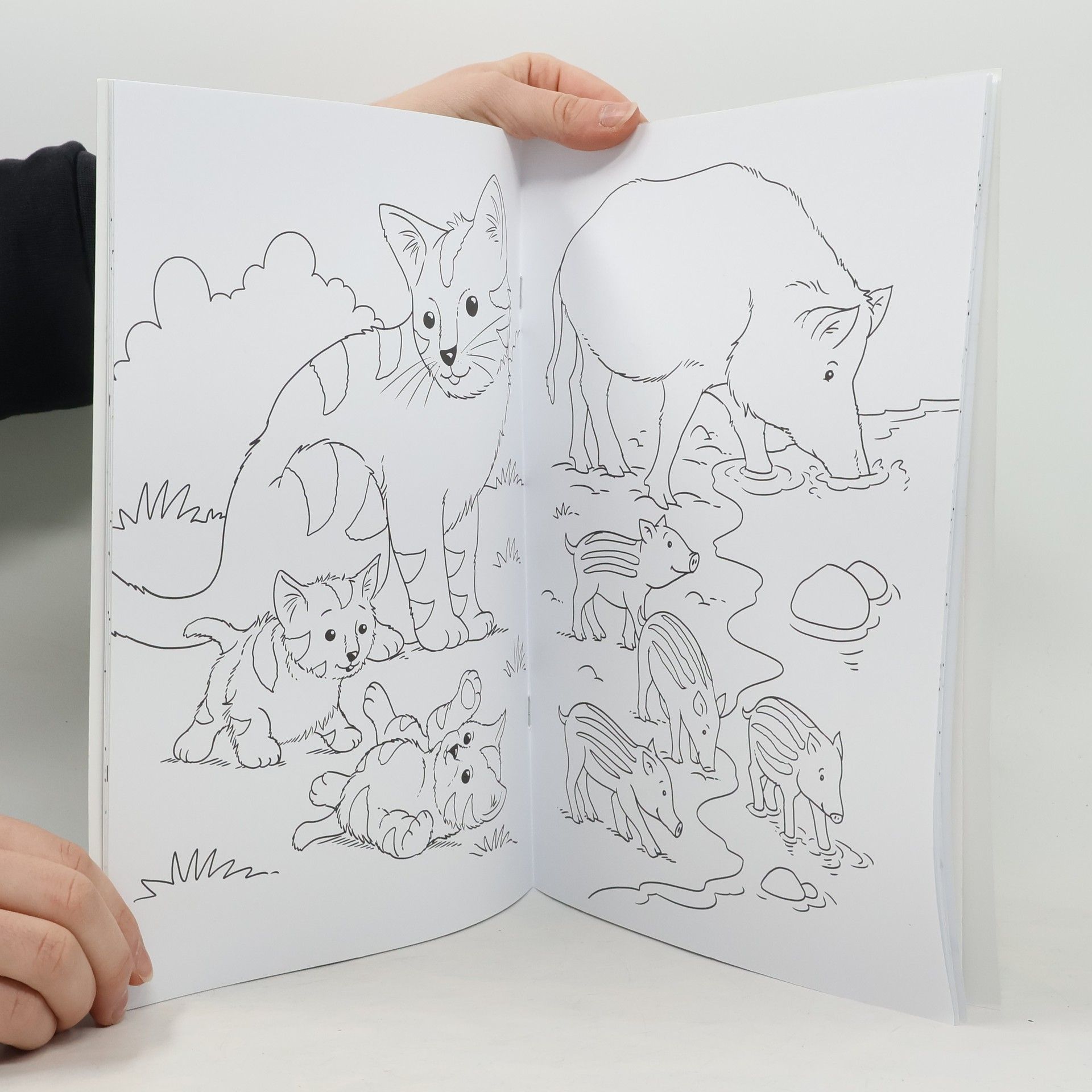 Autorenkollektiv Süsse Tierbabys