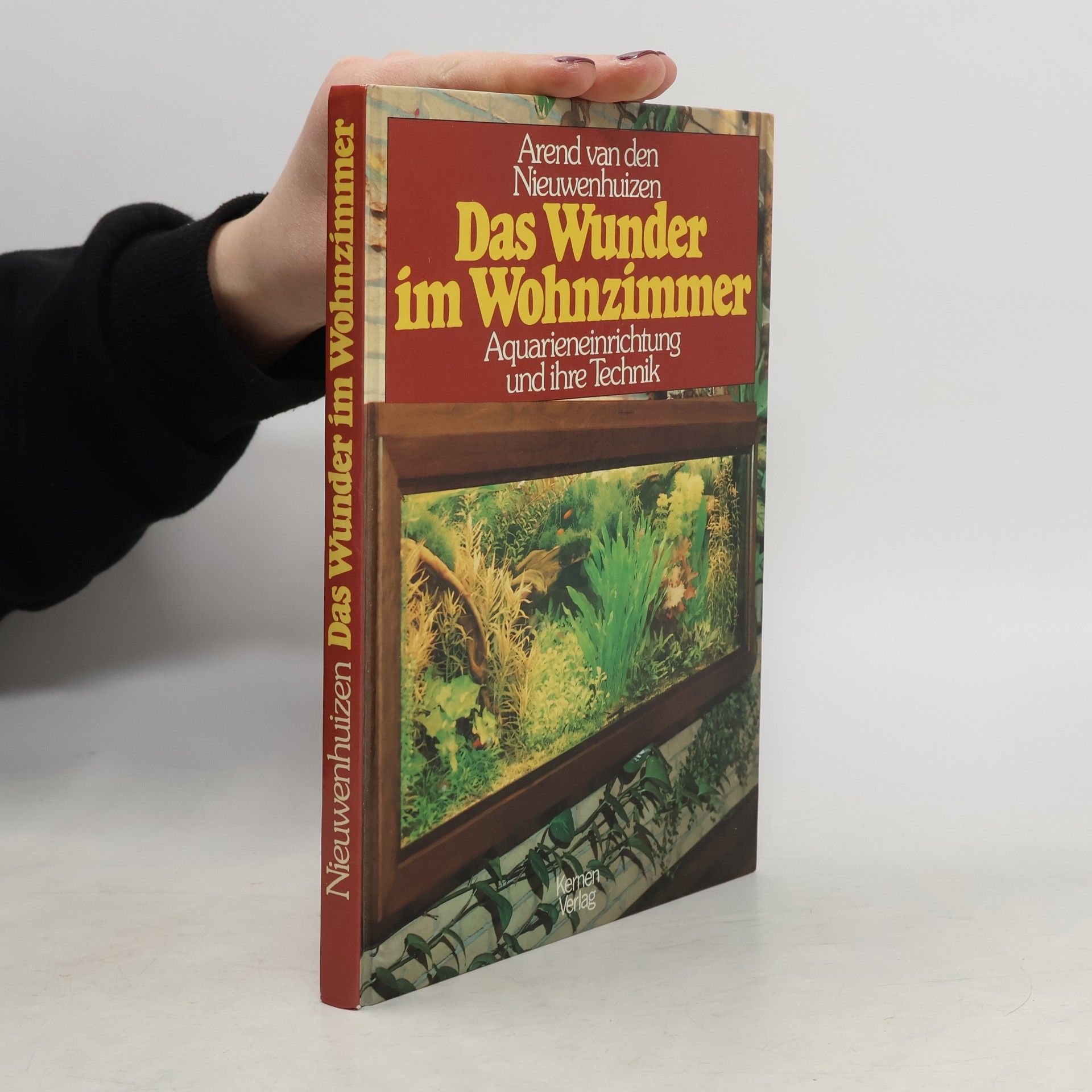 Arend van den Nieuwenhuizen Das Wunder im Wohnzimmer