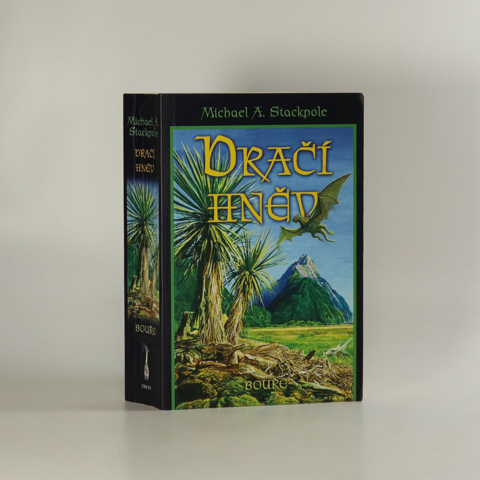 Michael A. Stackpole Bouře. Dračí hněv 2