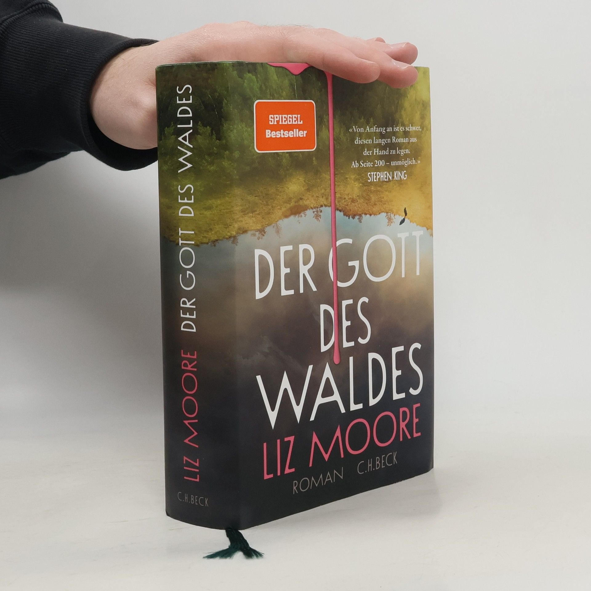 Liz Moore Der Gott des Waldes