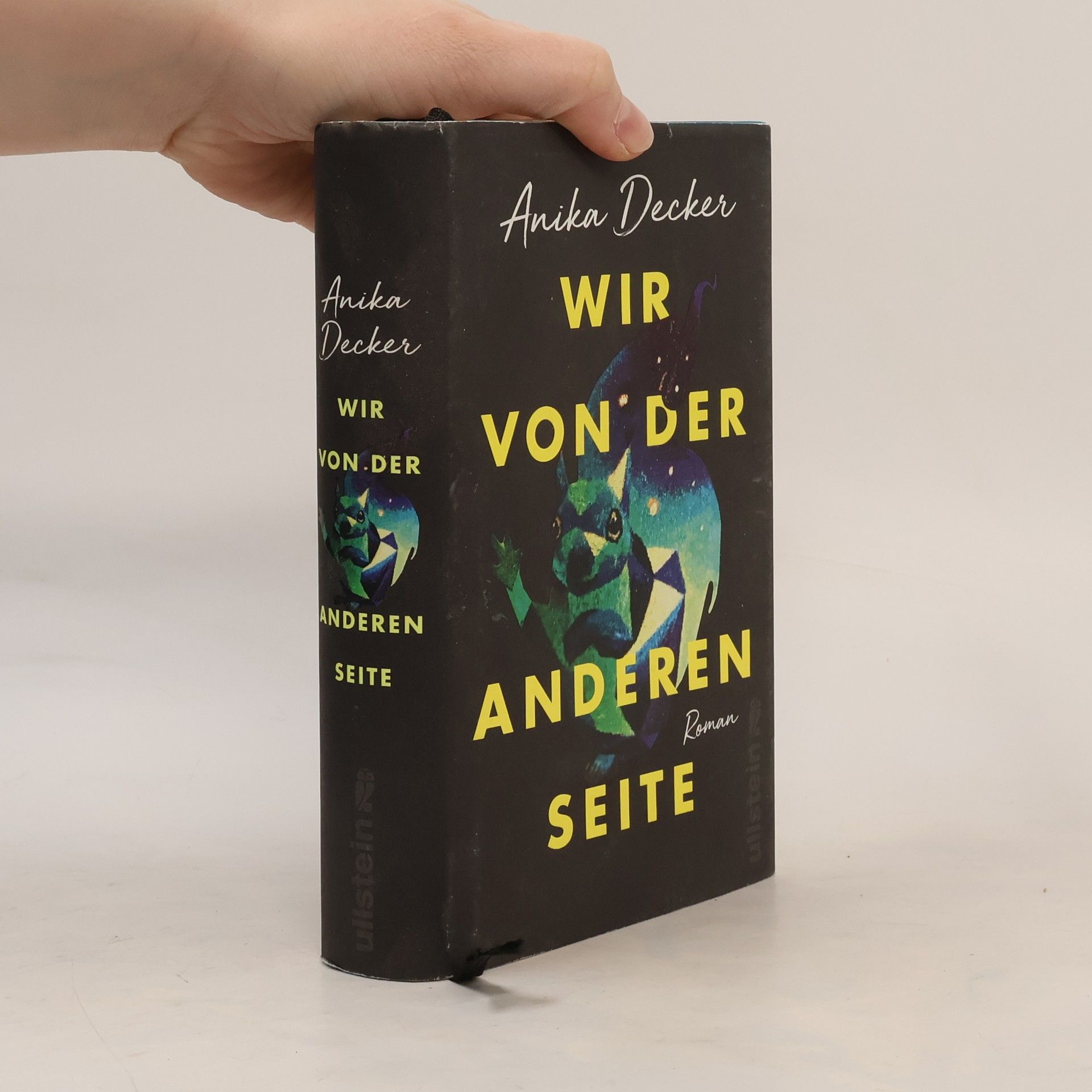 Anika Decker Wir von der anderen Seite