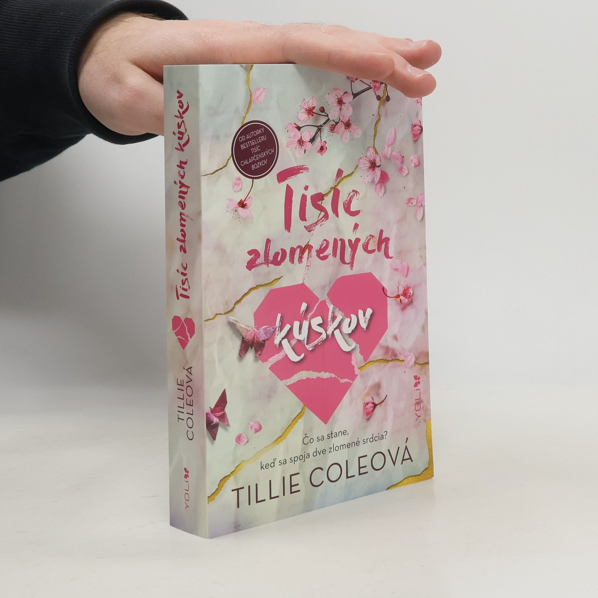 Tisíc zlomených kúskov