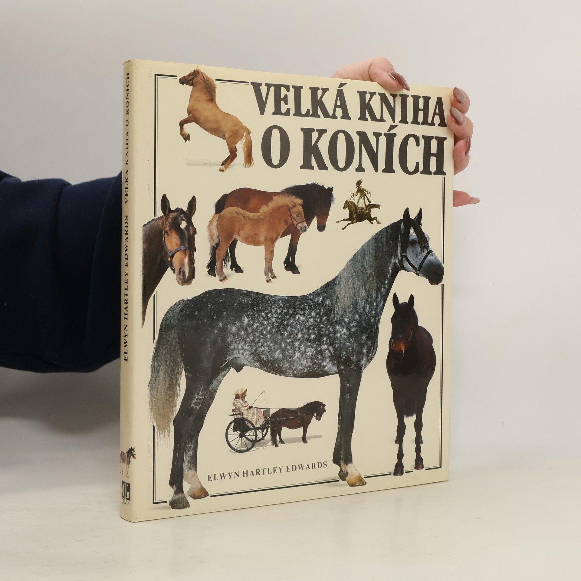 Elwyn Hartley Edwards Velká kniha o koních