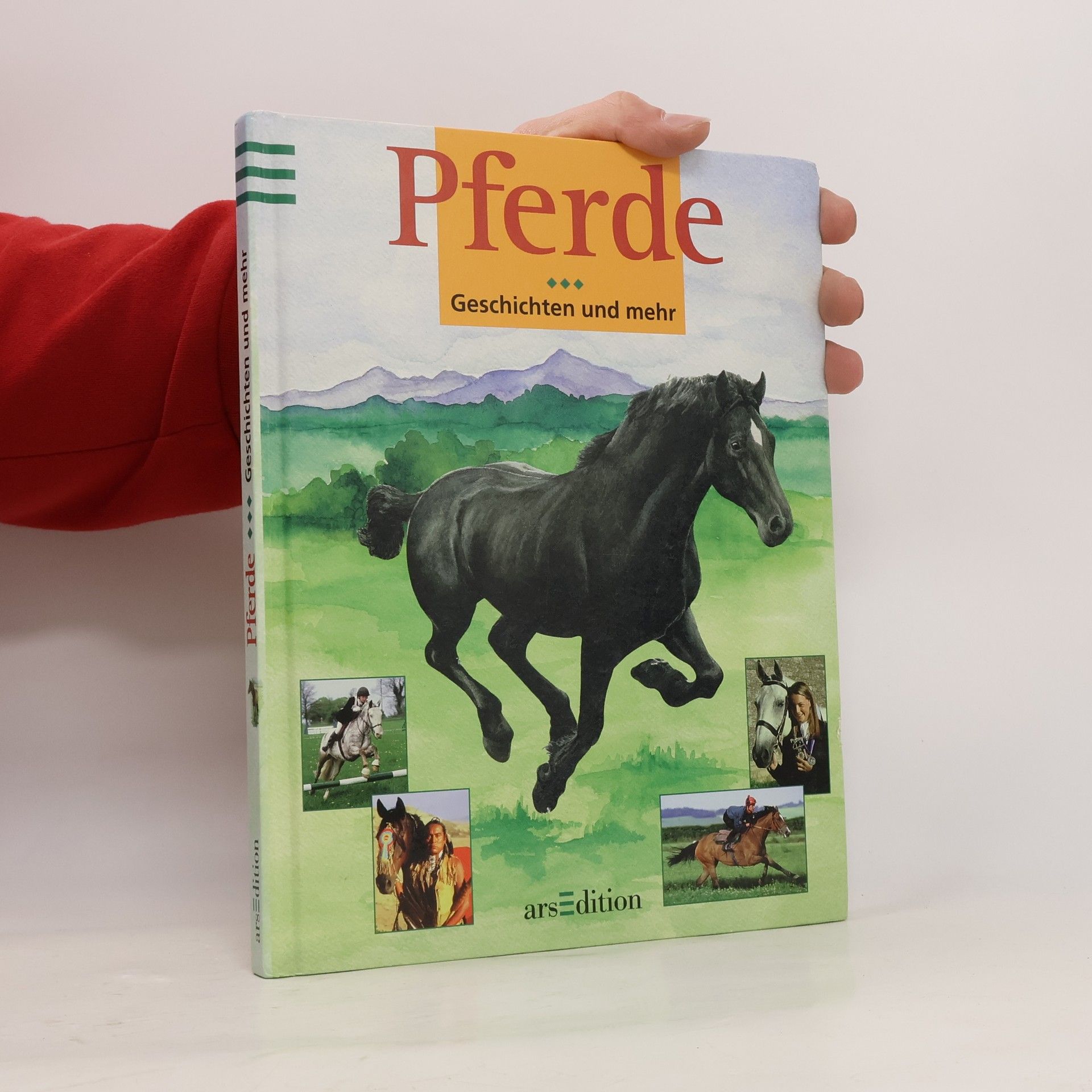 Diana Pullein-Thompson Pferde - Geschichten und mehr