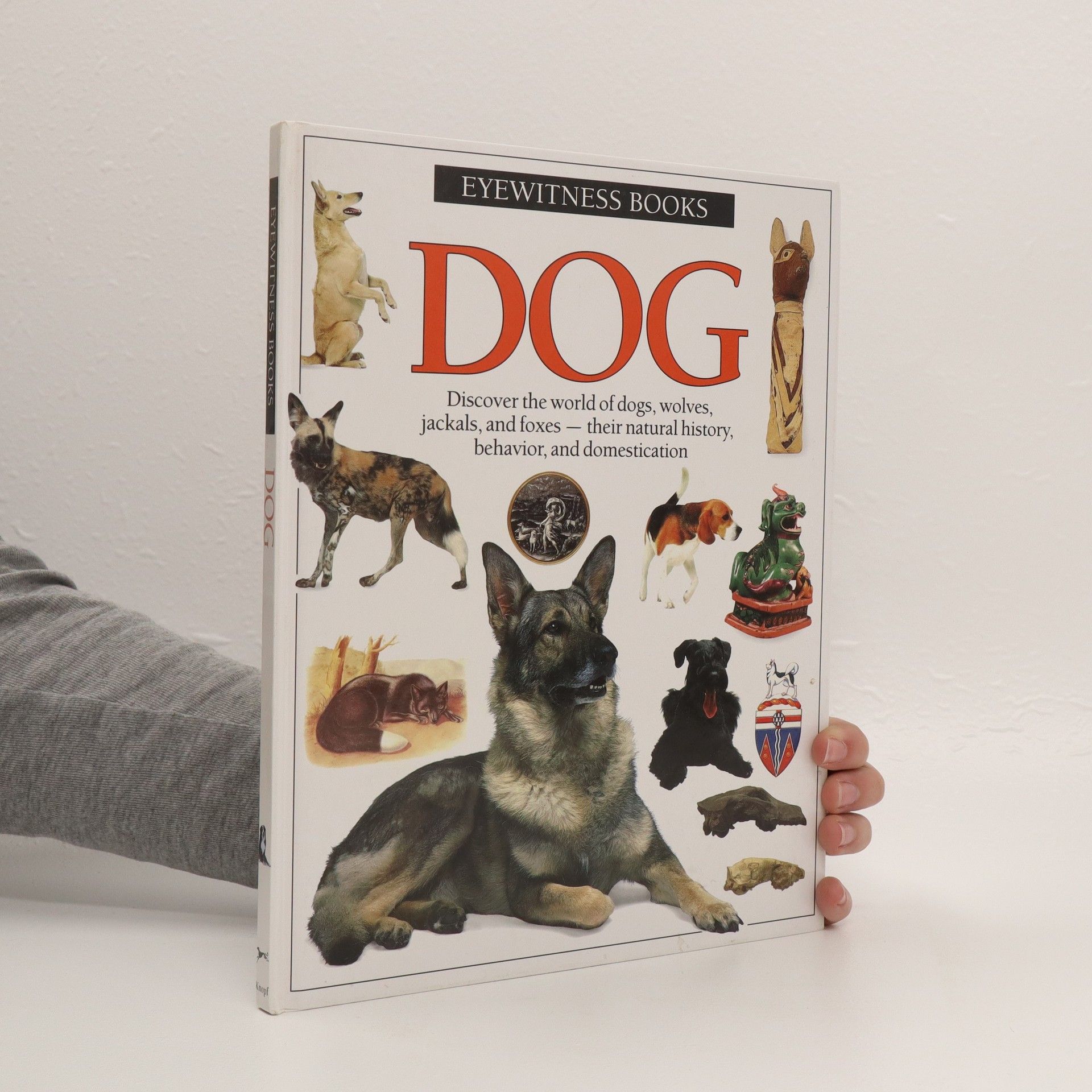 Collectif d'auteurs Dog