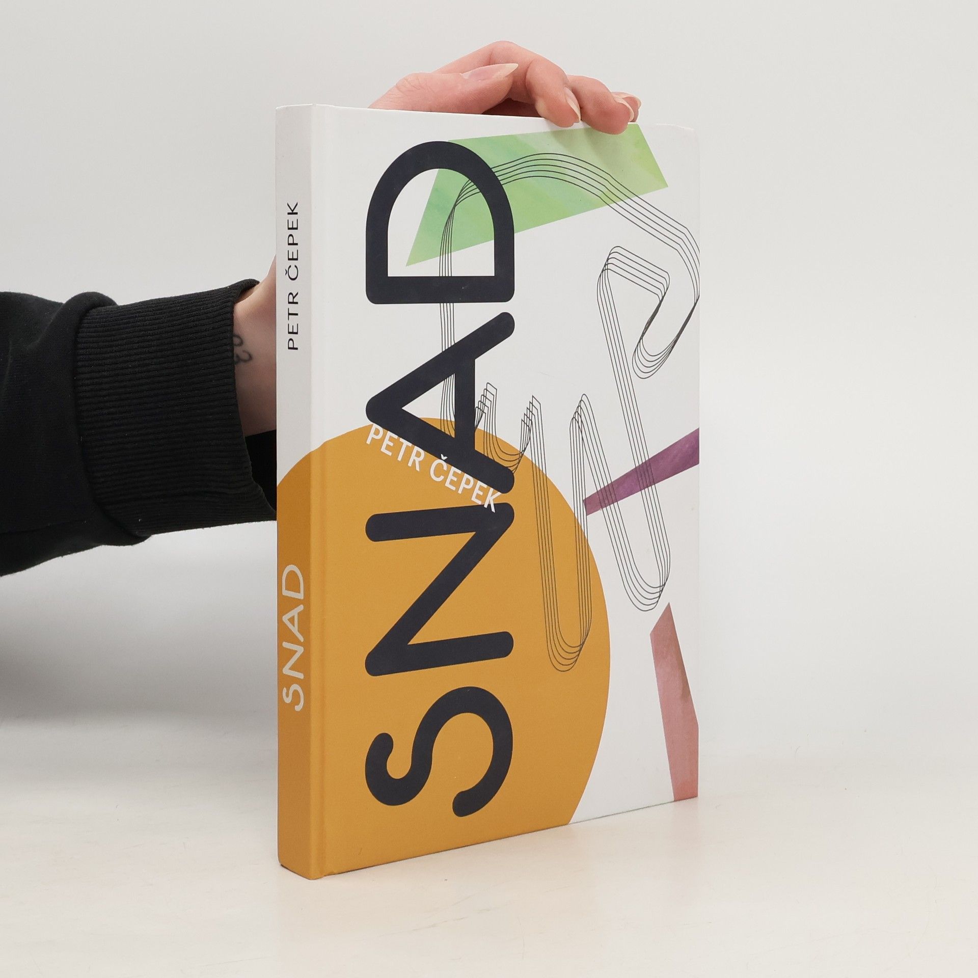 Petr Čepek Snad