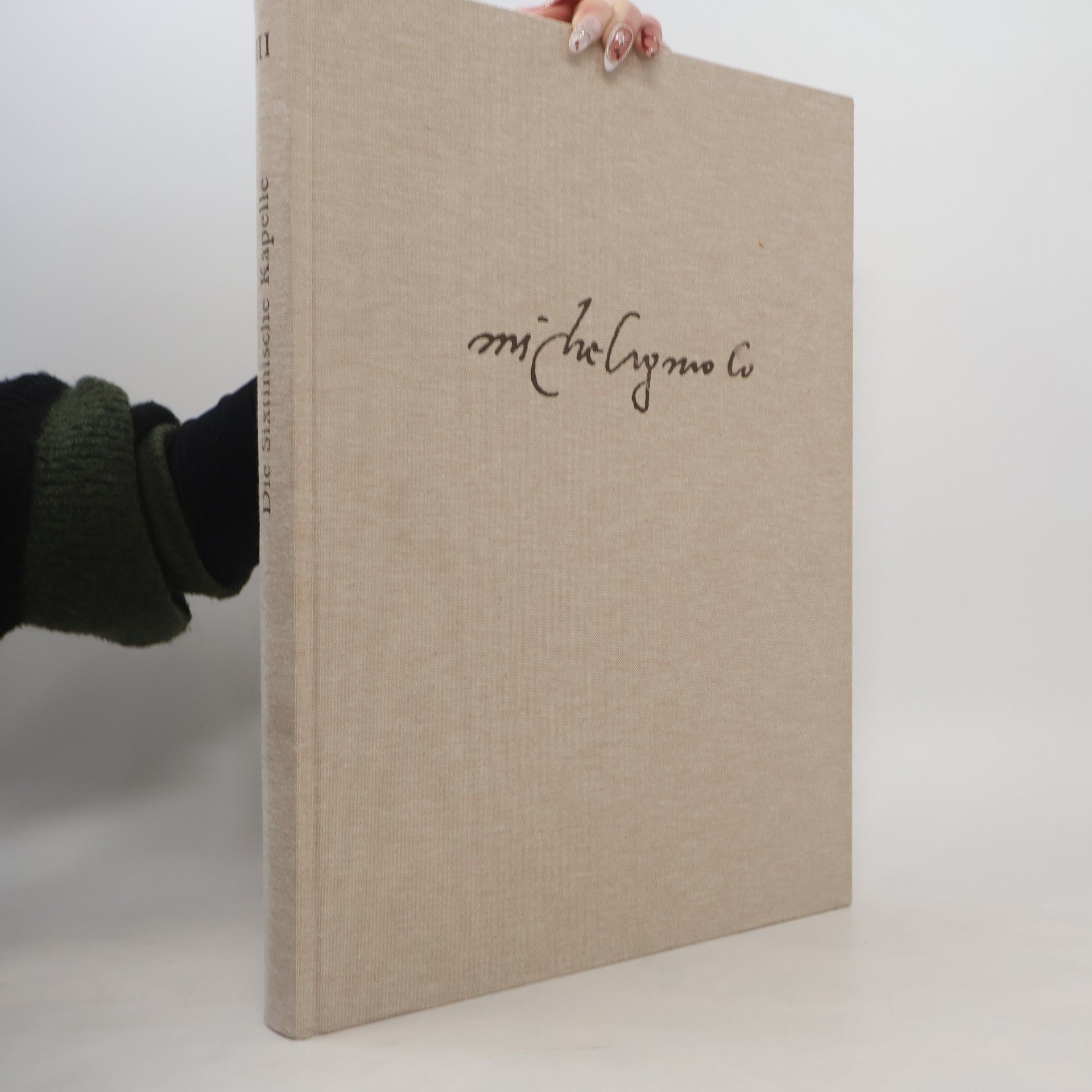 Die Sixtinische Kapelle III. Das Jüngste Gericht