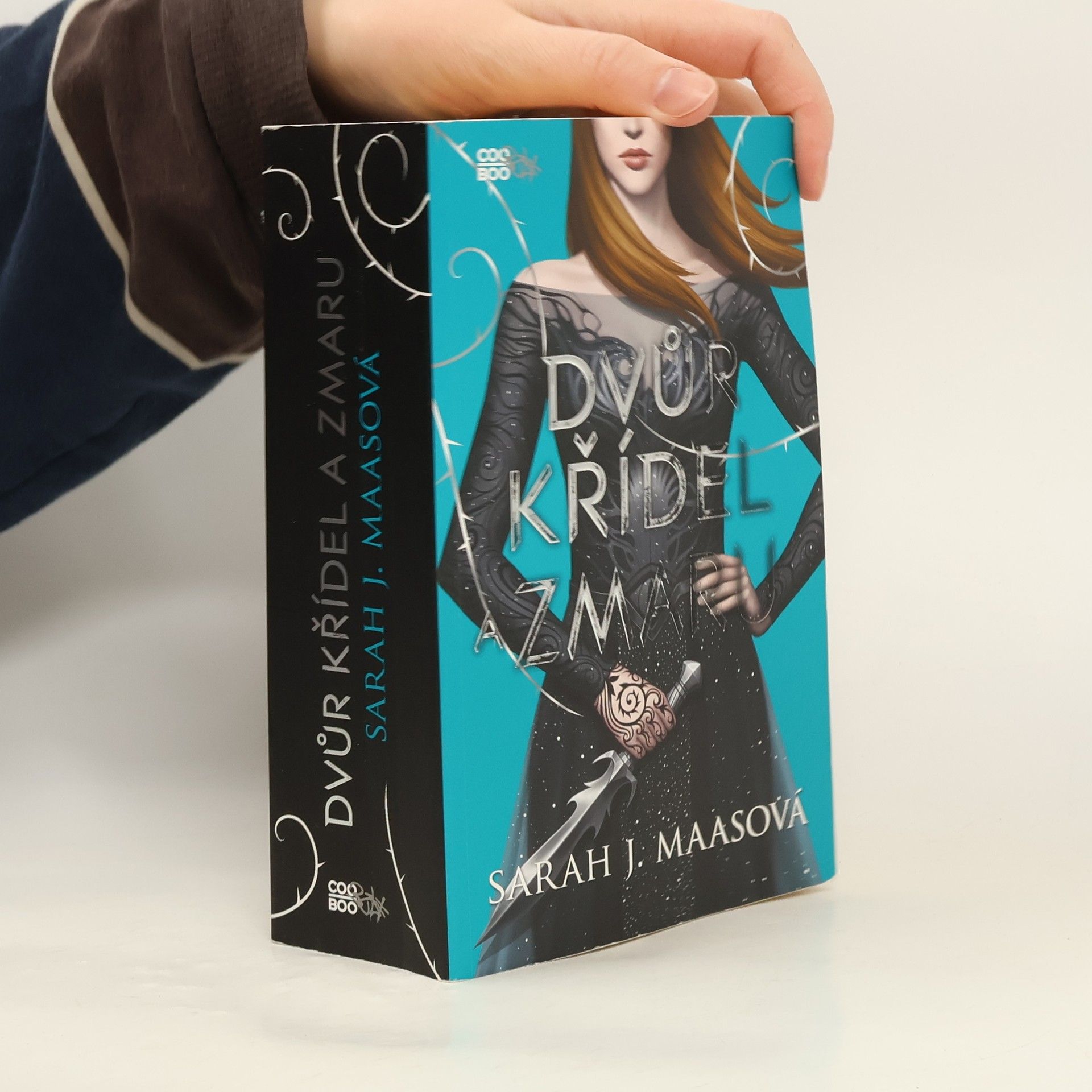 Sarah J. Maasová Dvůr křídel a zmaru