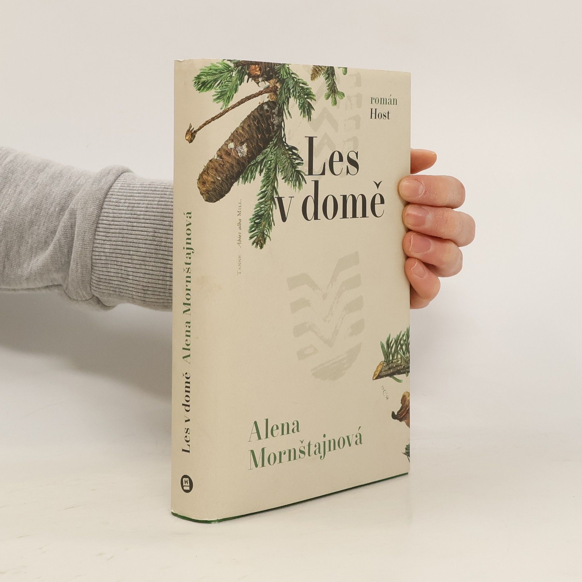 Alena Mornštajnová Les v domě