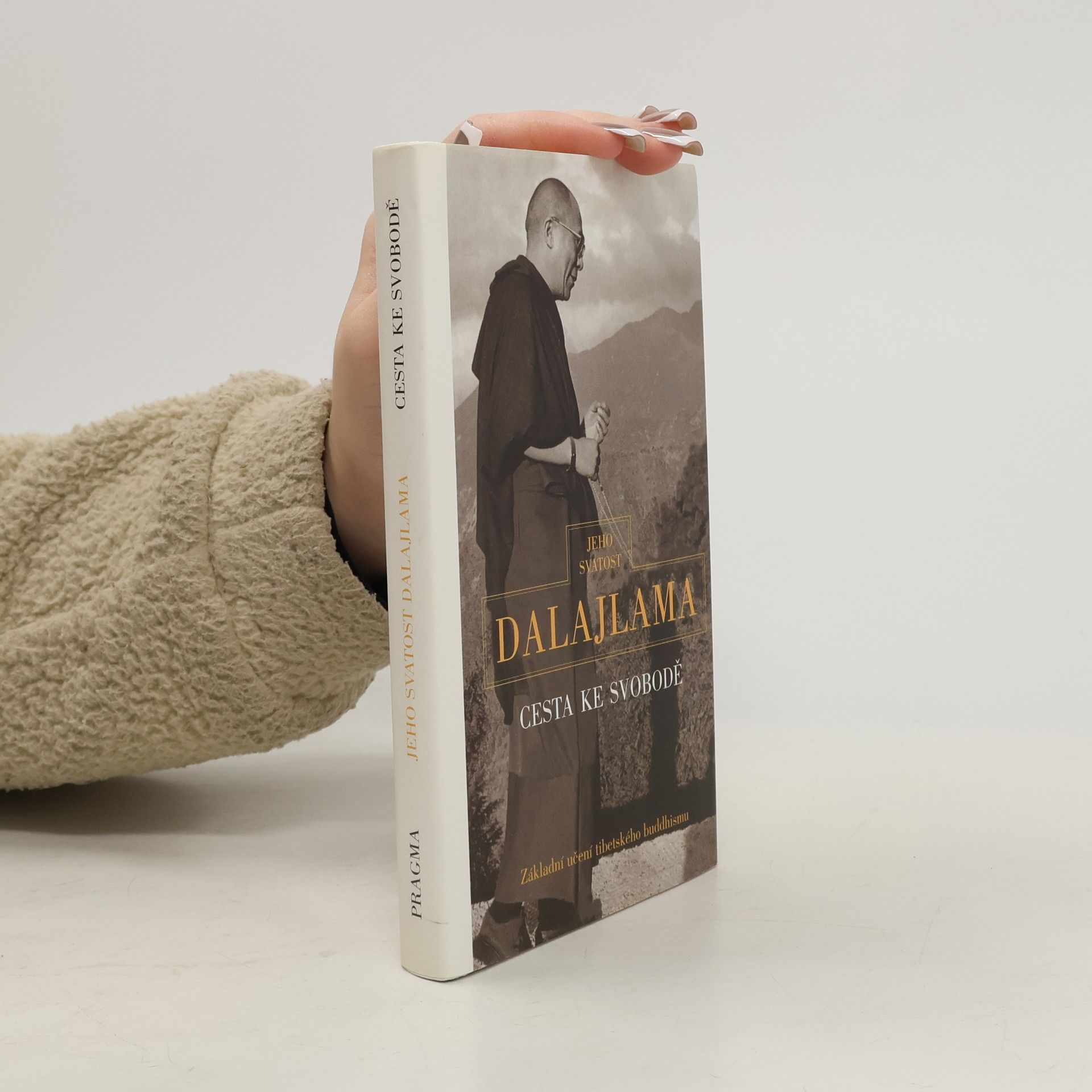 Irena Janovcová Cesta ke svobodě