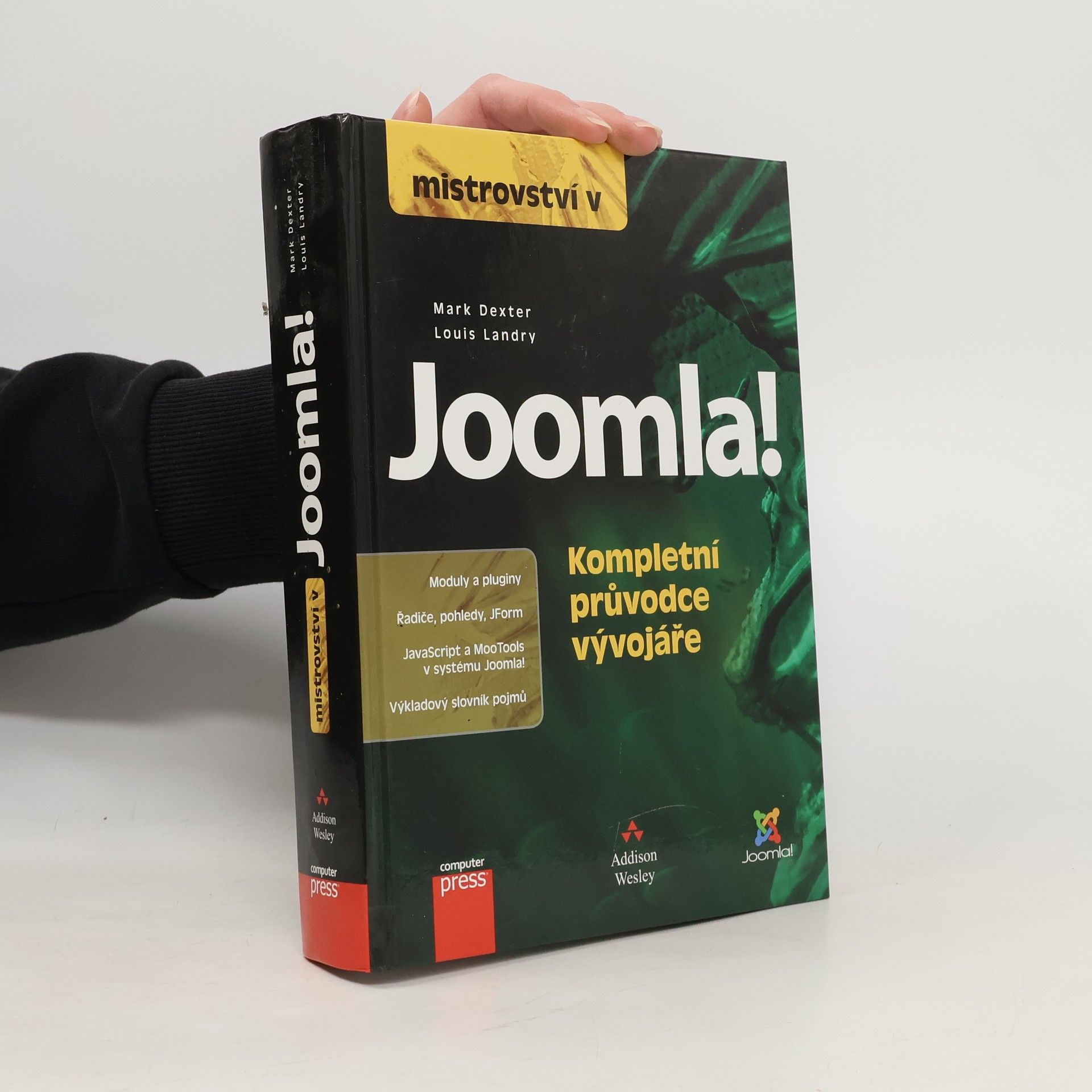 Mistrovství v Joomla! : kompletní průvodce vývojáře