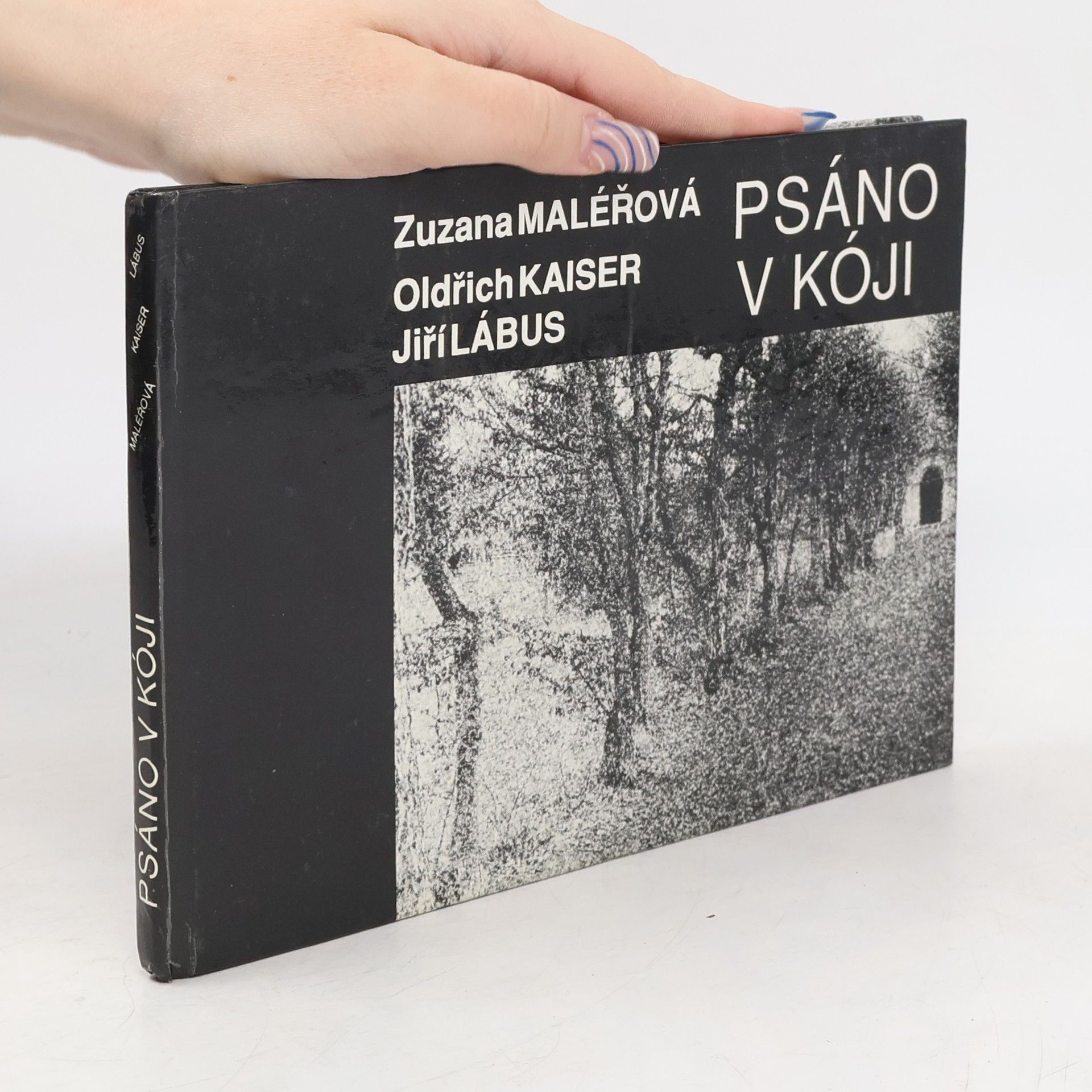 Zuzana Maléřová Psáno v kóji