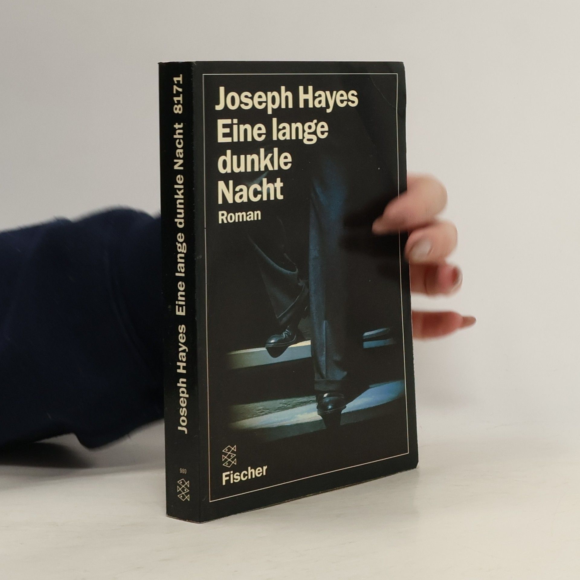 Joseph Hayes Eine lange dunkle Nacht