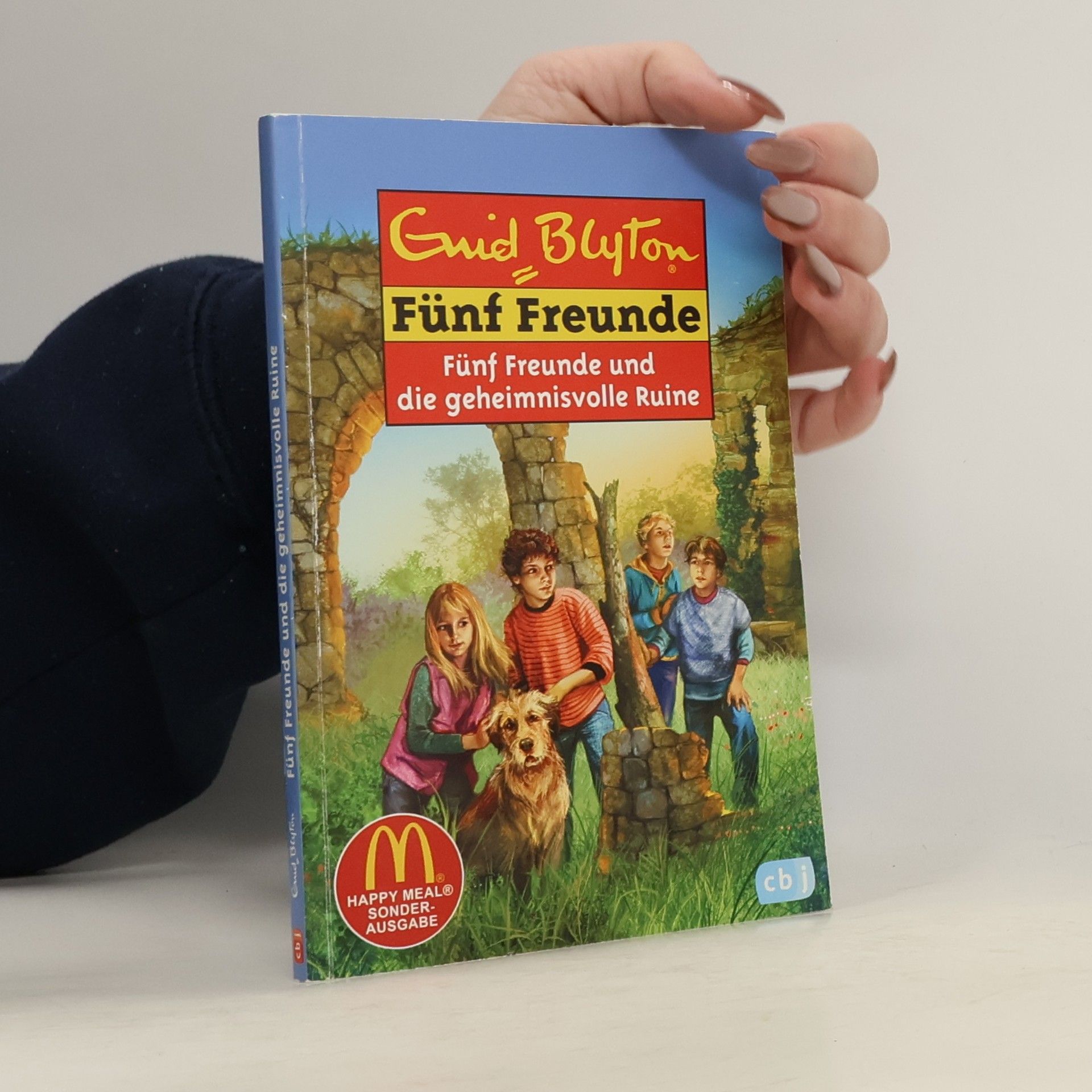 Sarah Bosse Fünf Freunde und die geheimnisvolle Ruine