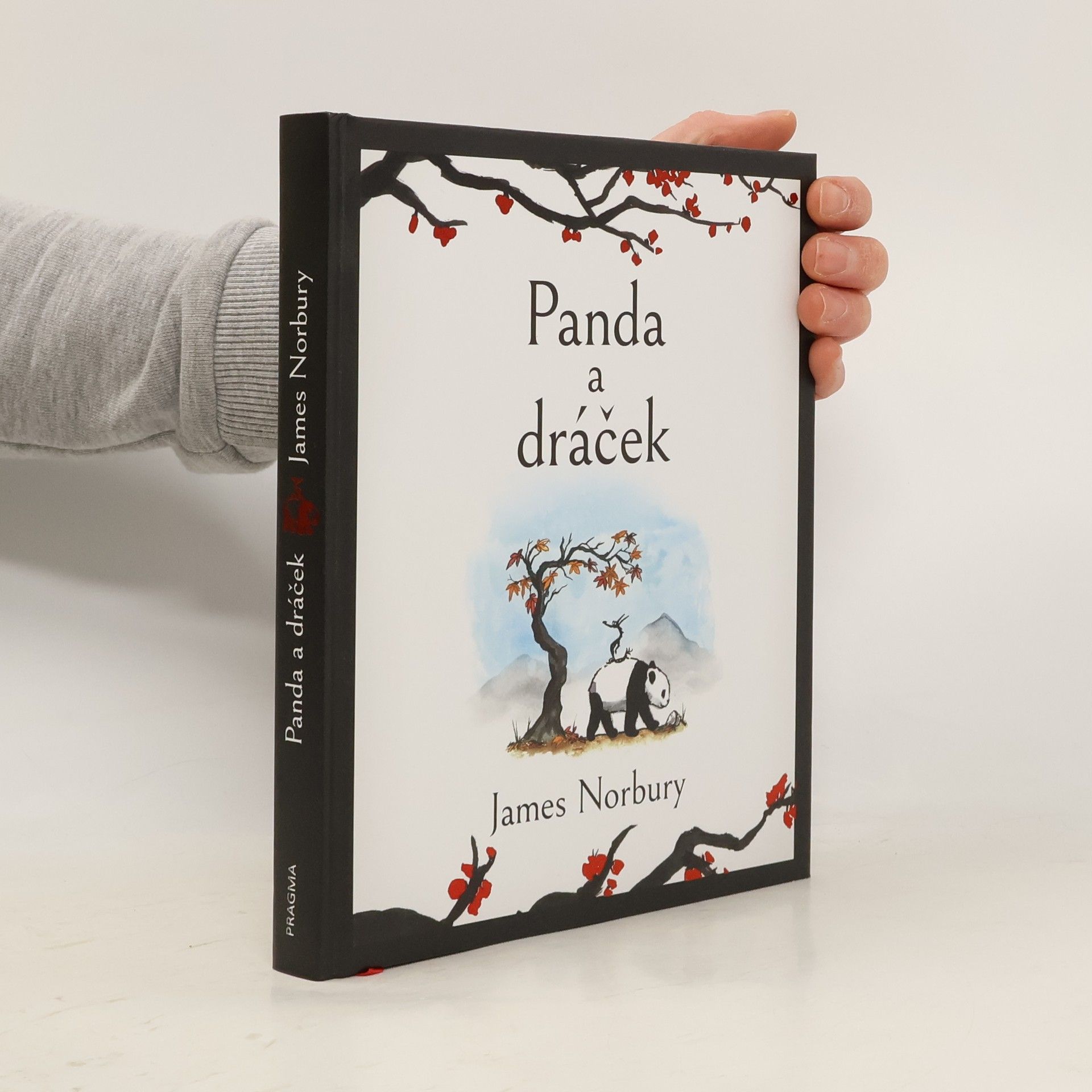 James Norbury Panda a dráček