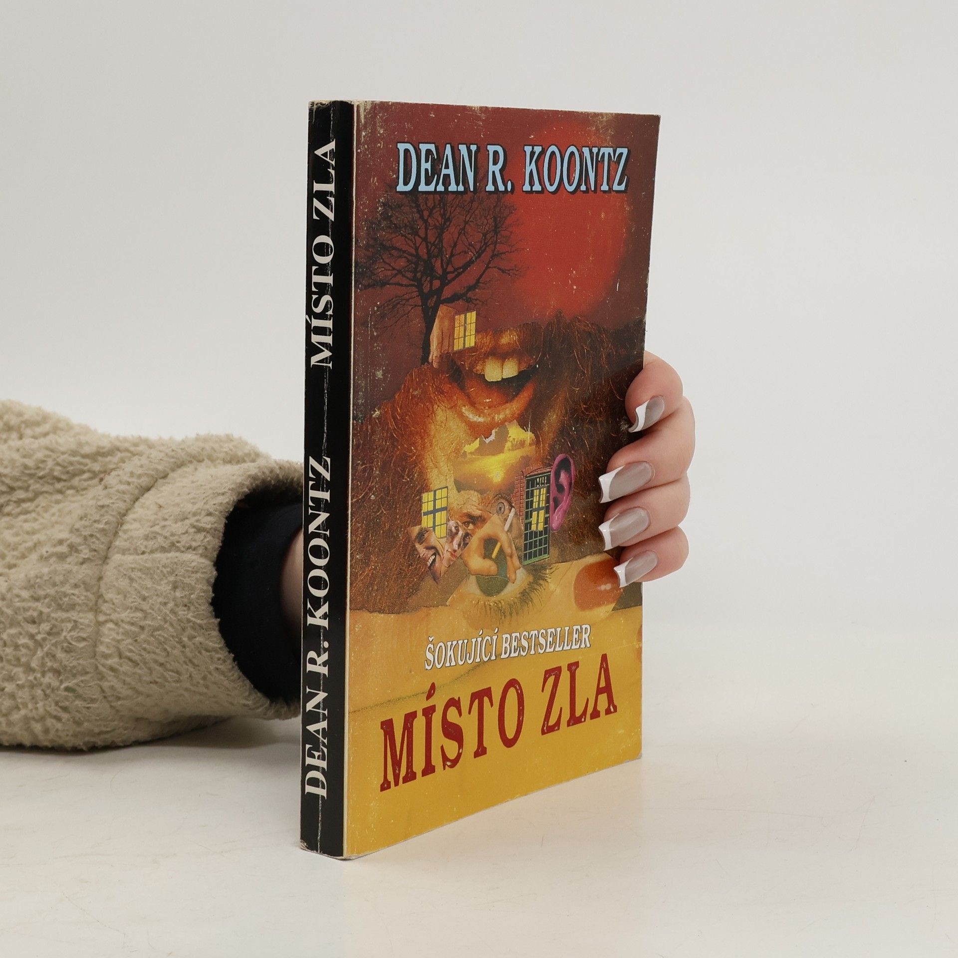 Dean R. Koontz Místo zla