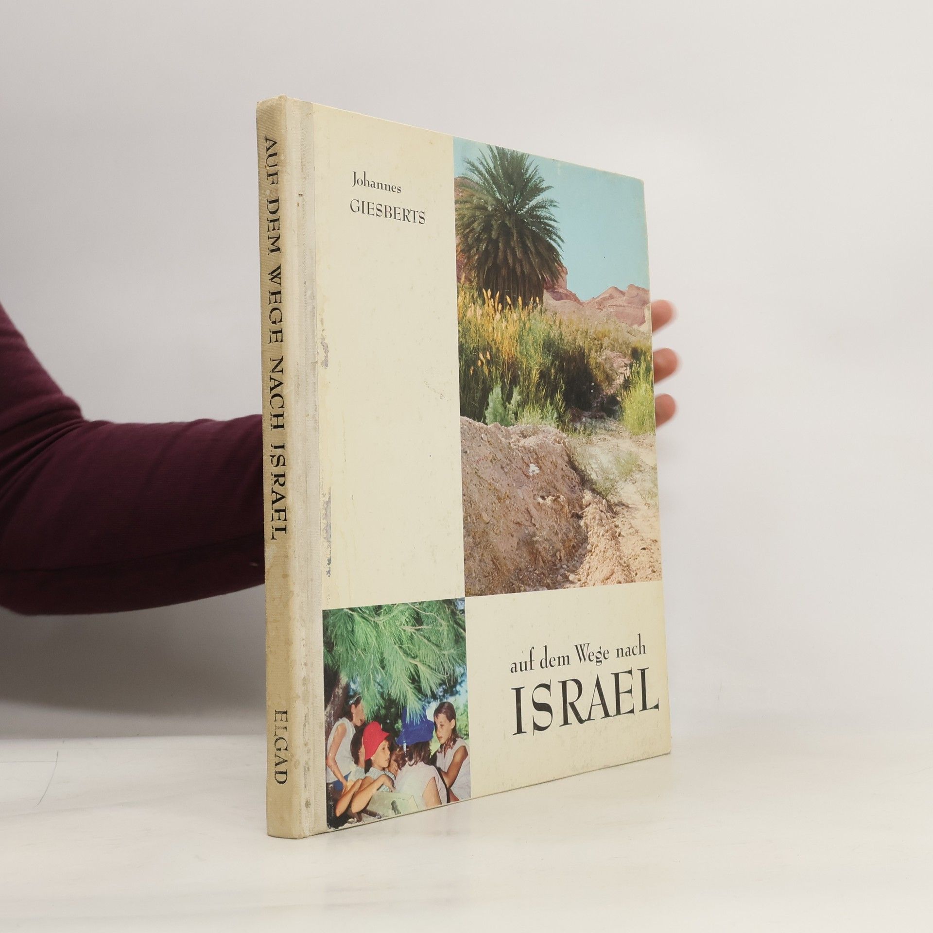 Johannes Giesberts Auf dem Wege nach ISRAEL